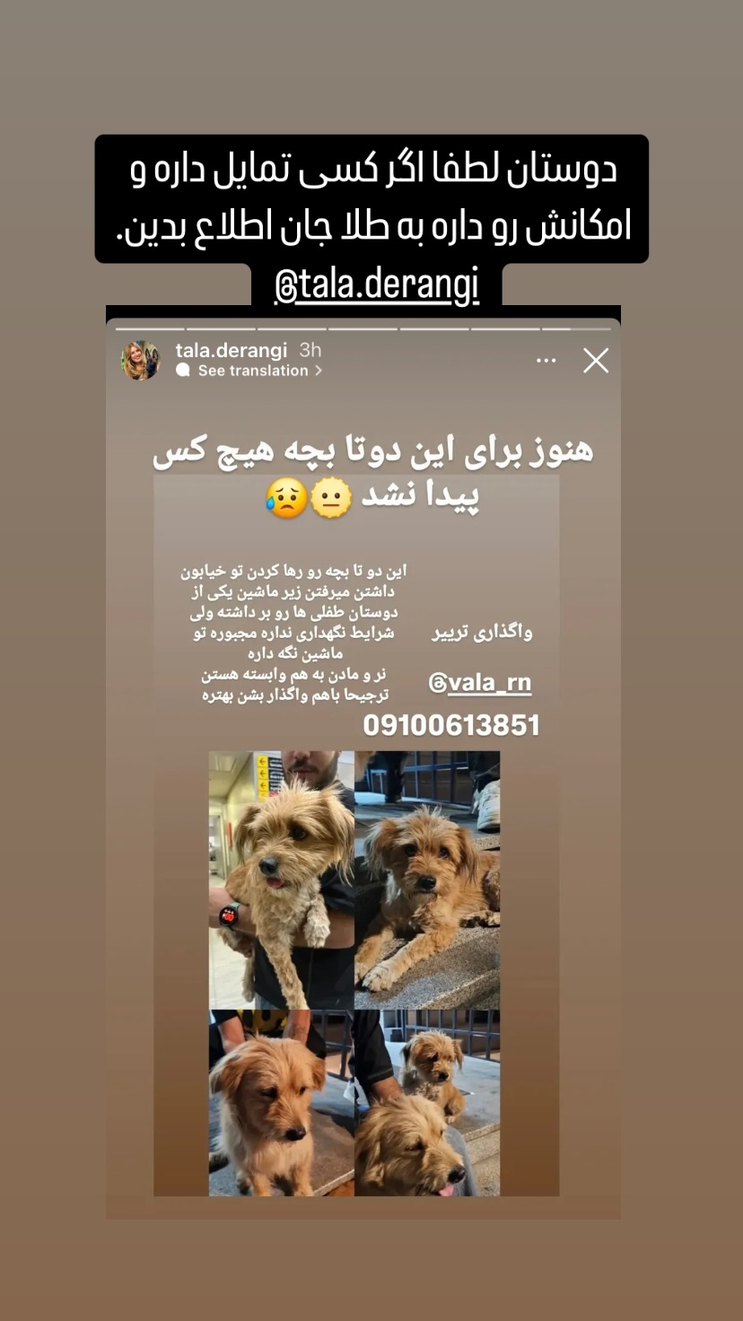  جدید ترین استوری اینستاگرام توماج دانش بهزادی