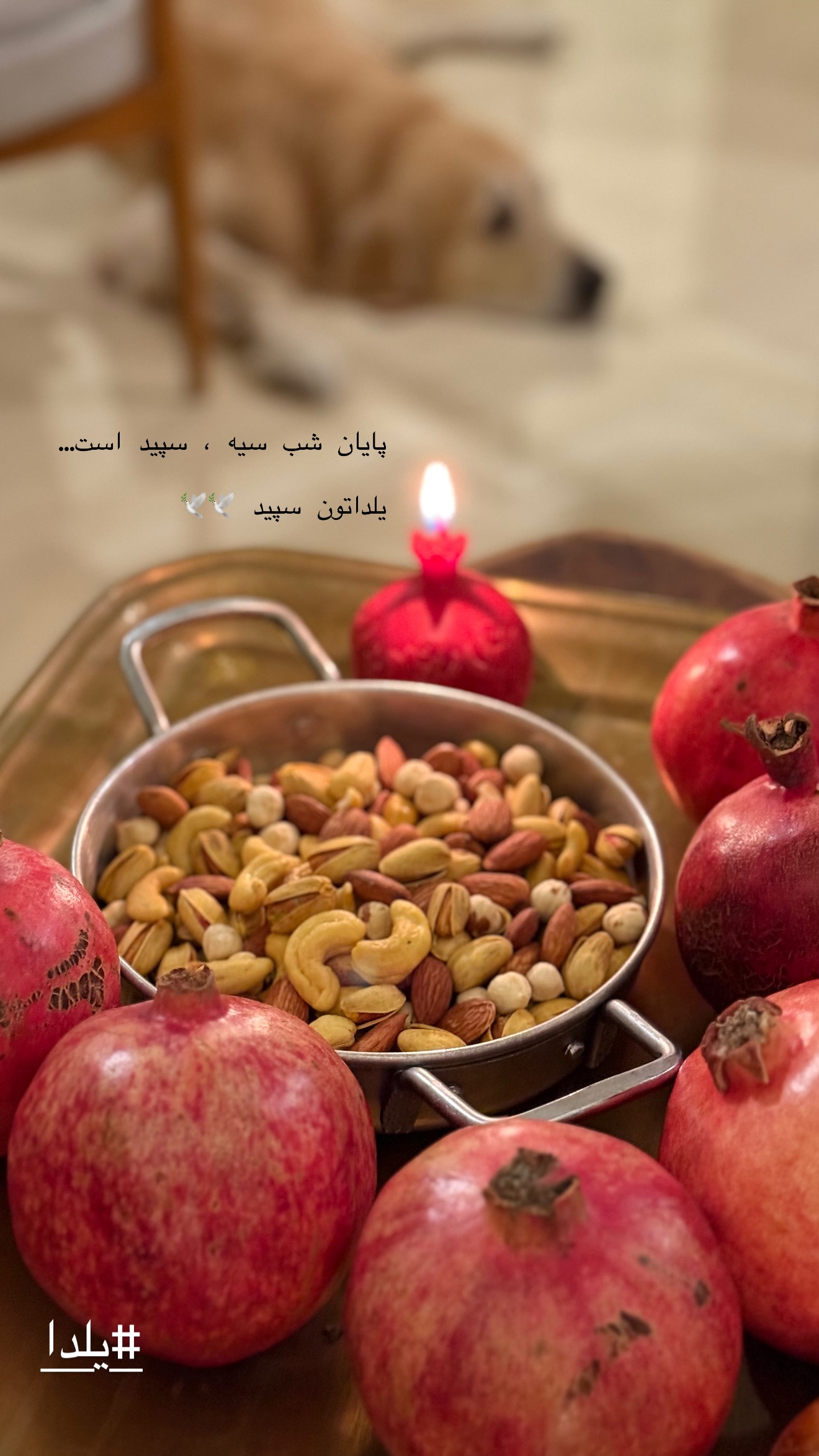  جدید ترین استوری اینستاگرام توماج دانش بهزادی