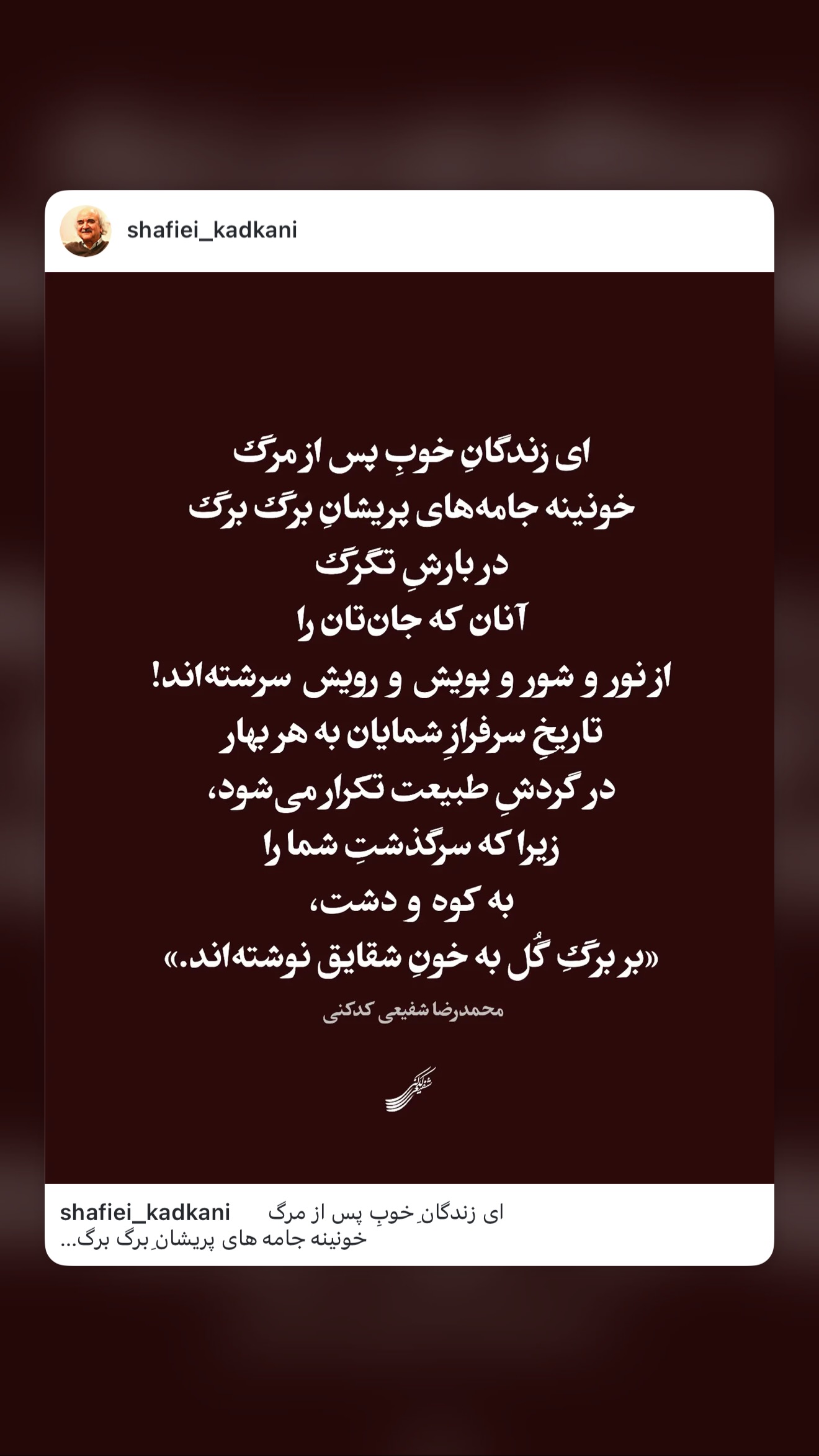  جدید ترین استوری اینستاگرام توماج دانش بهزادی