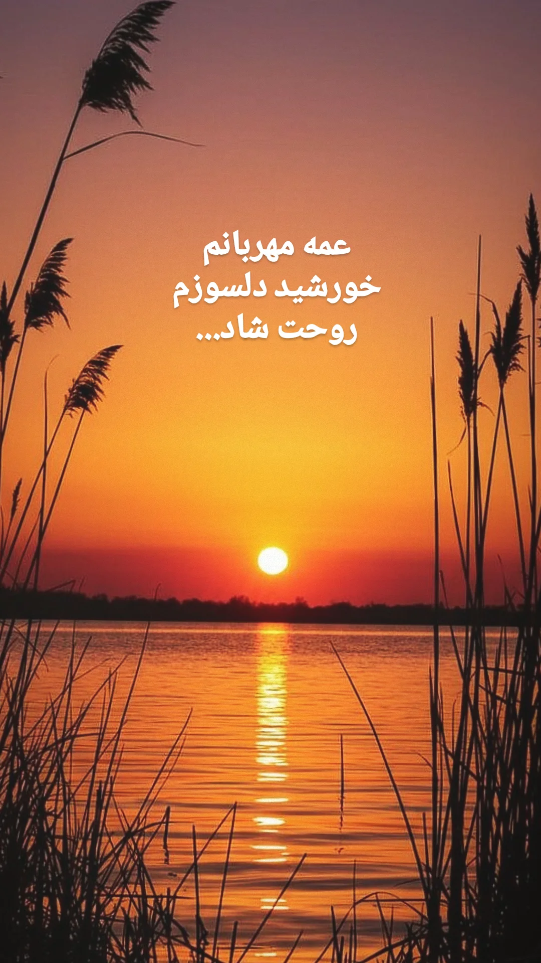  جدید ترین استوری اینستاگرام حمید رضا ترکاشوند