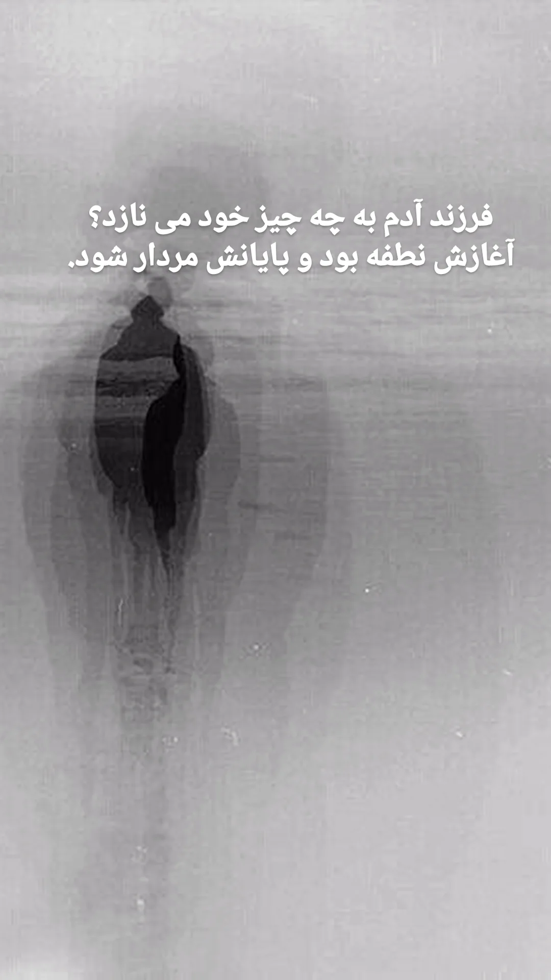  جدید ترین استوری اینستاگرام حمید رضا ترکاشوند