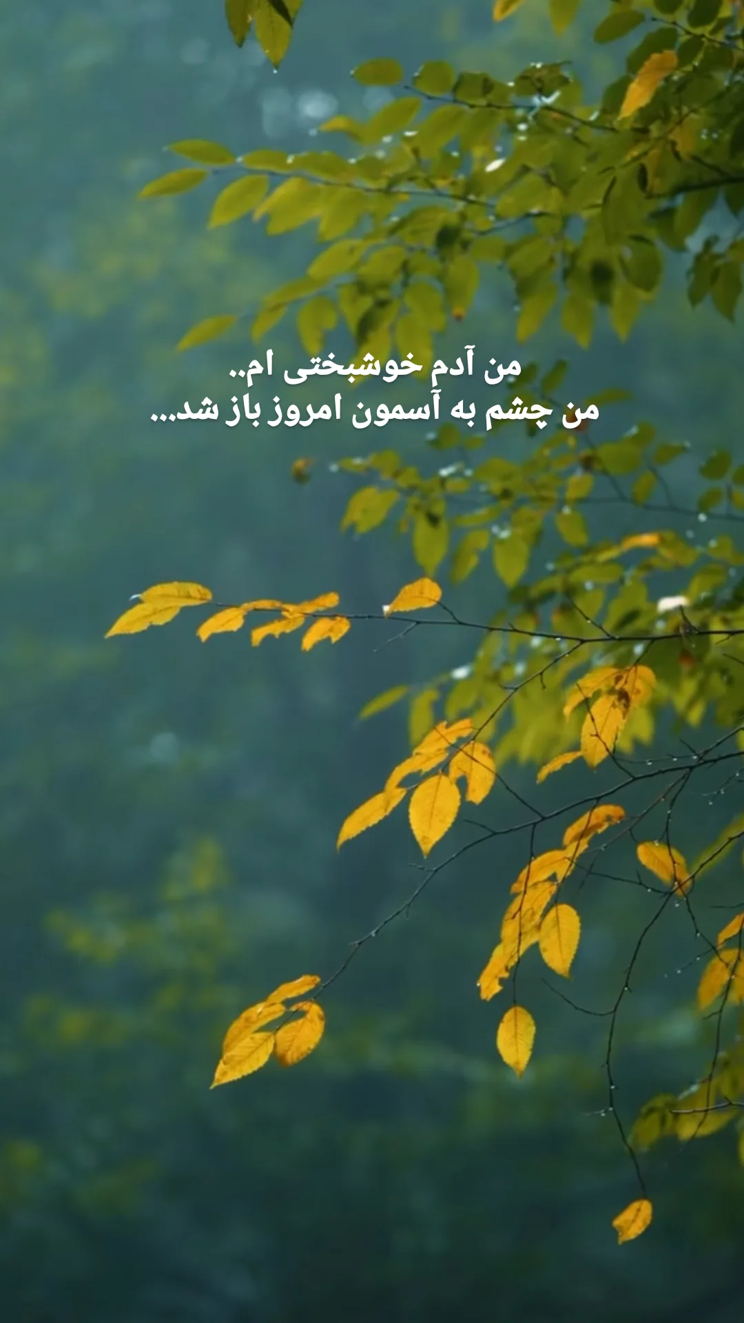  جدید ترین استوری اینستاگرام حمید رضا ترکاشوند