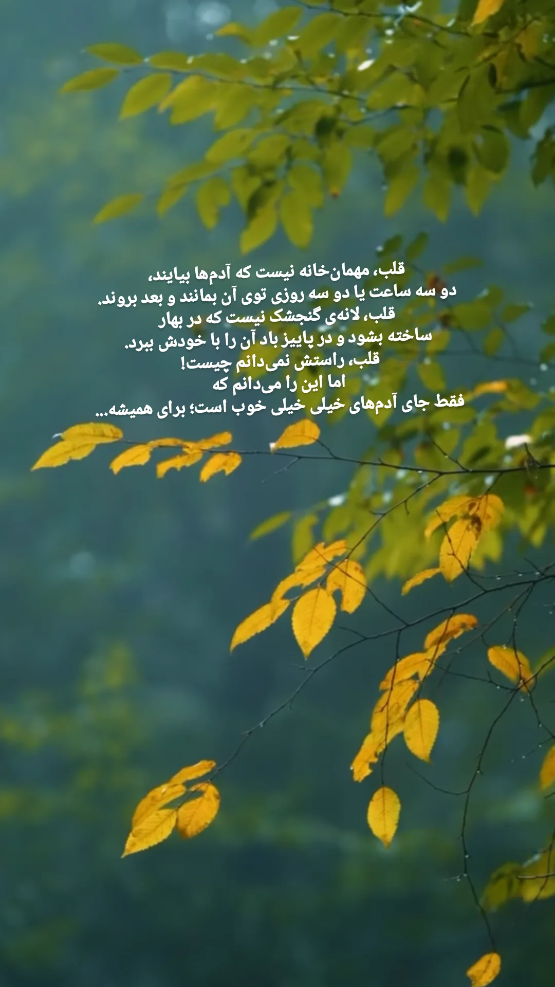  جدید ترین استوری اینستاگرام حمید رضا ترکاشوند