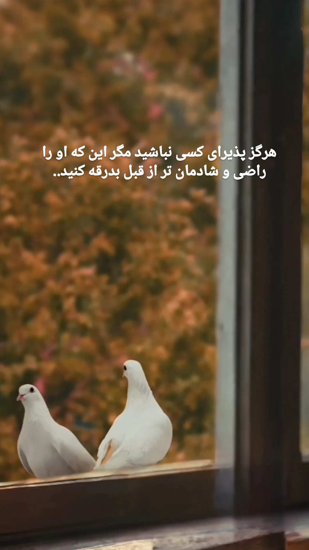  جدید ترین استوری اینستاگرام حمید رضا ترکاشوند