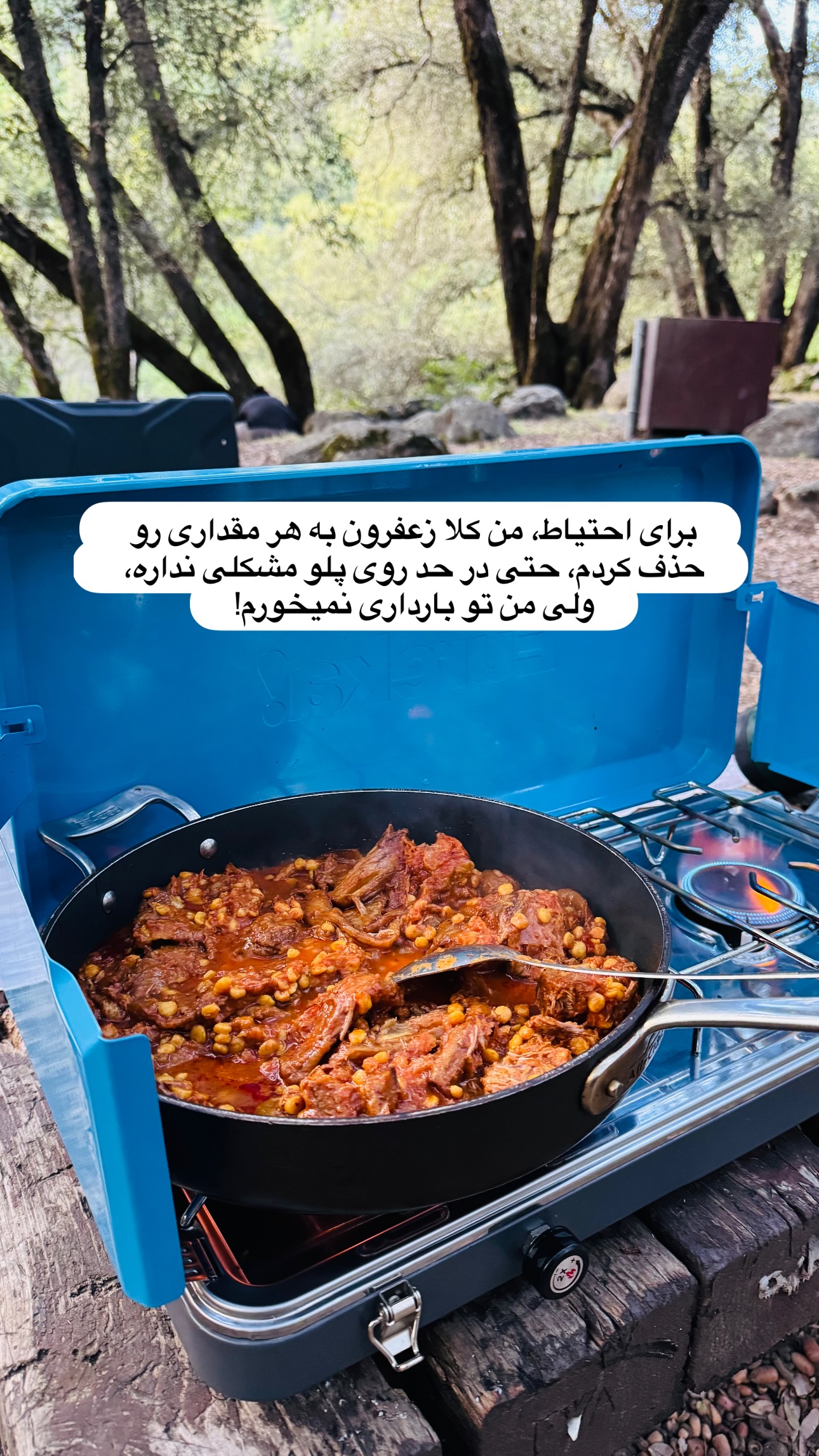  جدید ترین استوری اینستاگرام مریم خسرو انجم