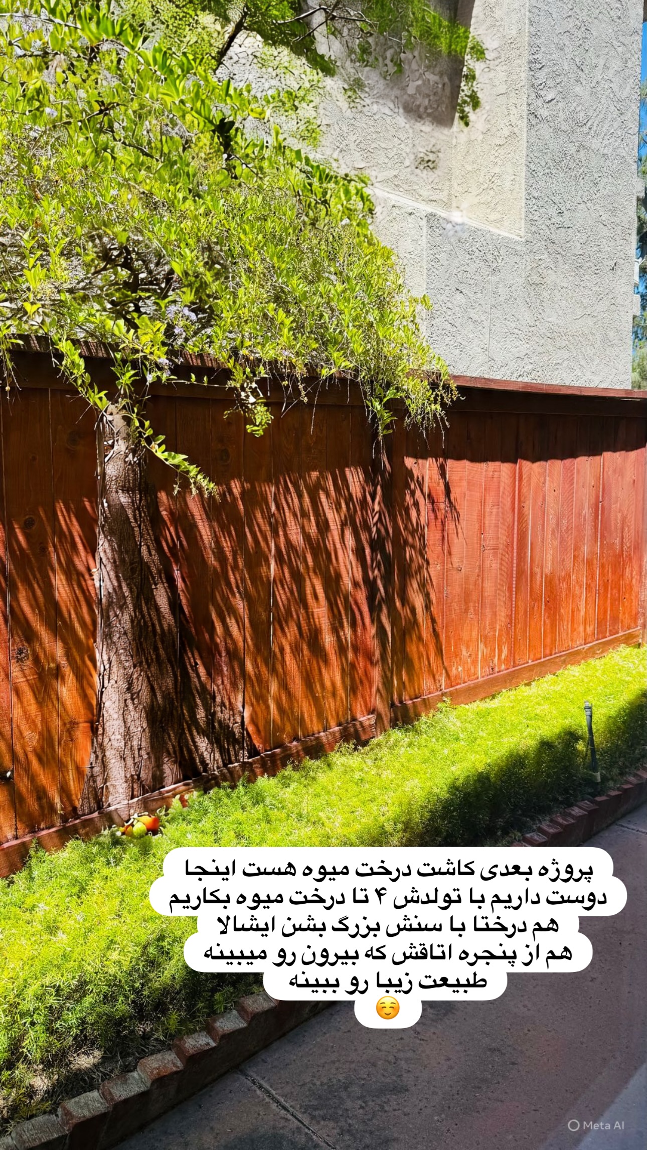  جدید ترین استوری اینستاگرام مریم خسرو انجم