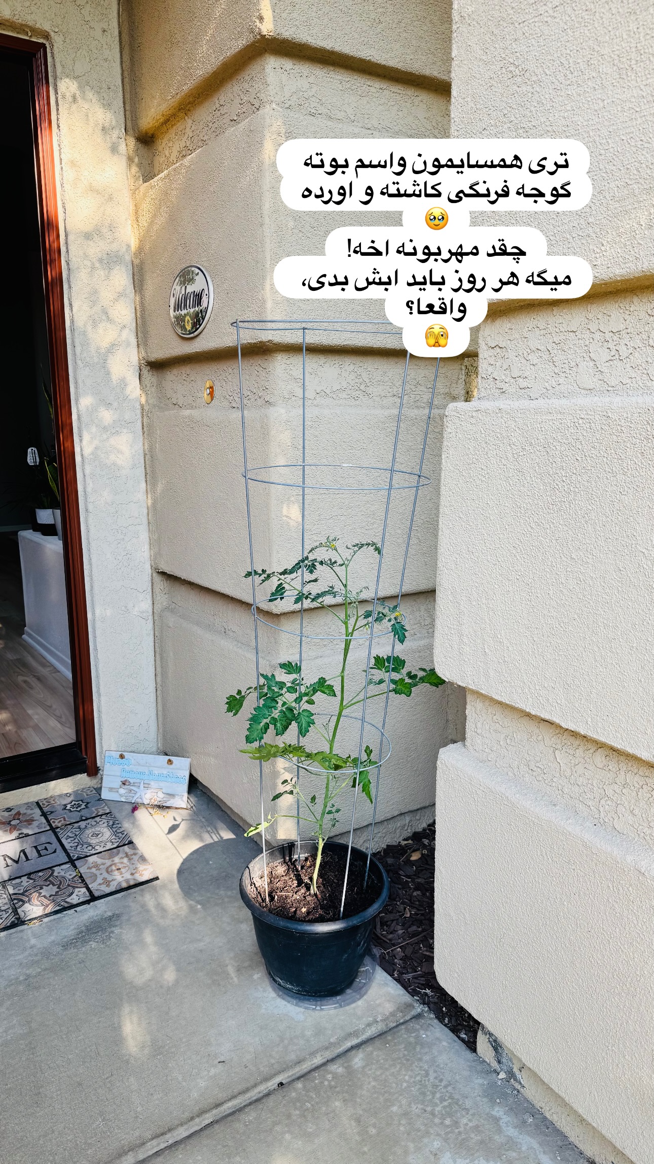 جدید ترین استوری اینستاگرام مریم خسرو انجم