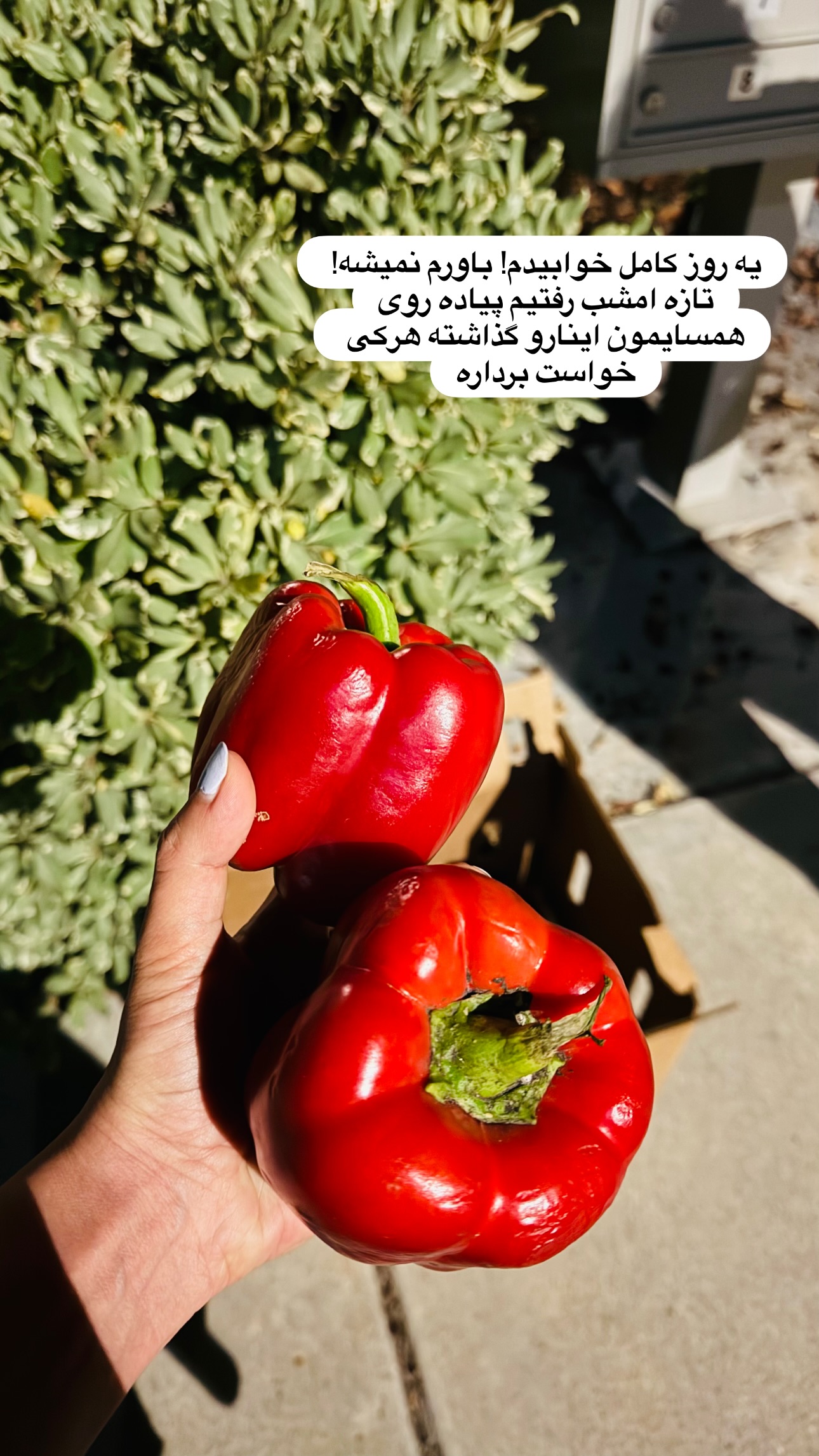  جدید ترین استوری اینستاگرام مریم خسرو انجم