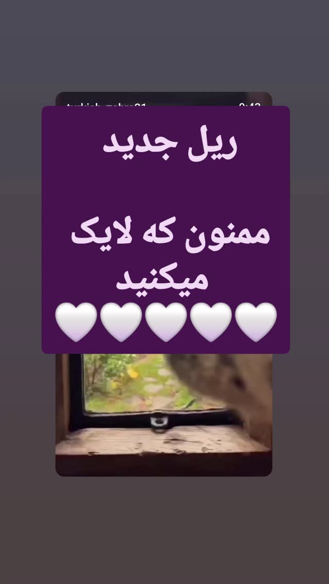  جدید ترین استوری اینستاگرام یادگیری زبان ترکی