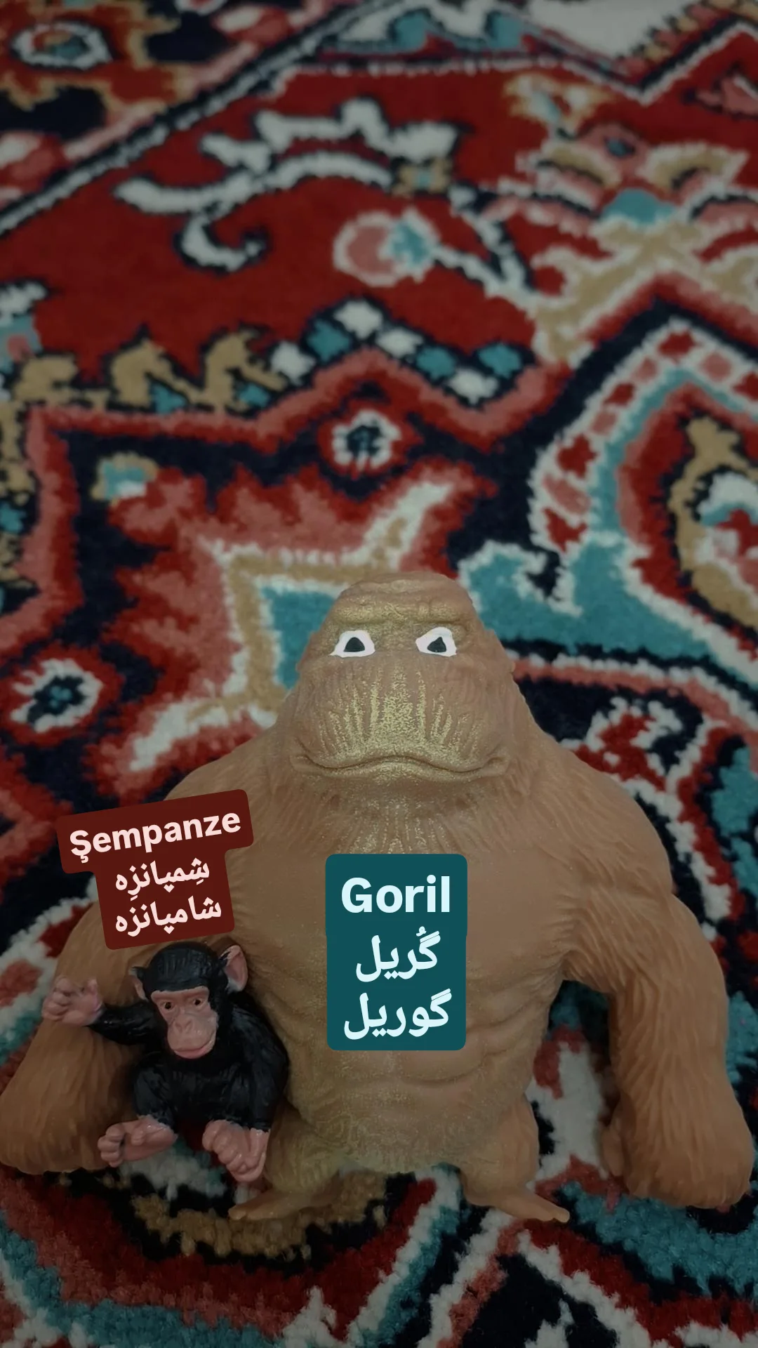  جدید ترین استوری اینستاگرام یادگیری زبان ترکی