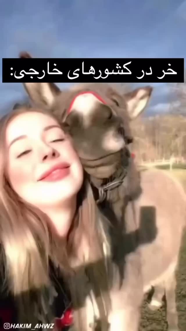 جدید ترین استوری اینستاگرام وحید عطار