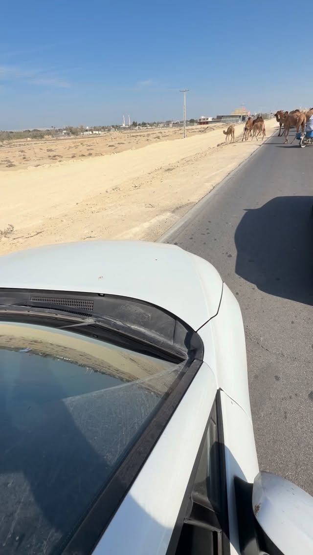 جدید ترین استوری اینستاگرام وحید عطار