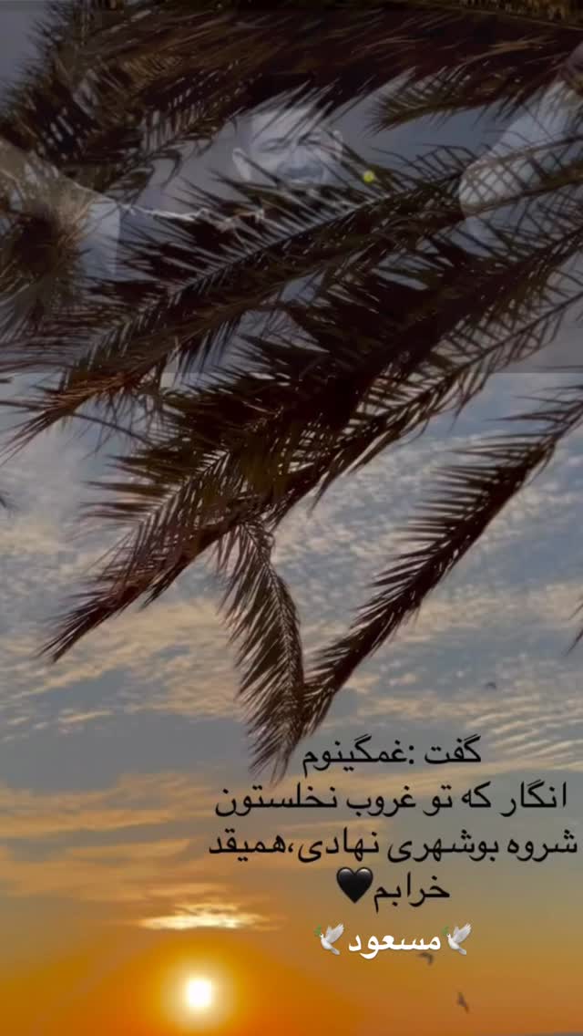  جدید ترین استوری اینستاگرام وحید عطار