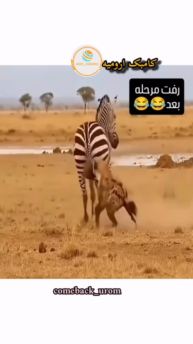  جدید ترین استوری اینستاگرام وحید معصومی