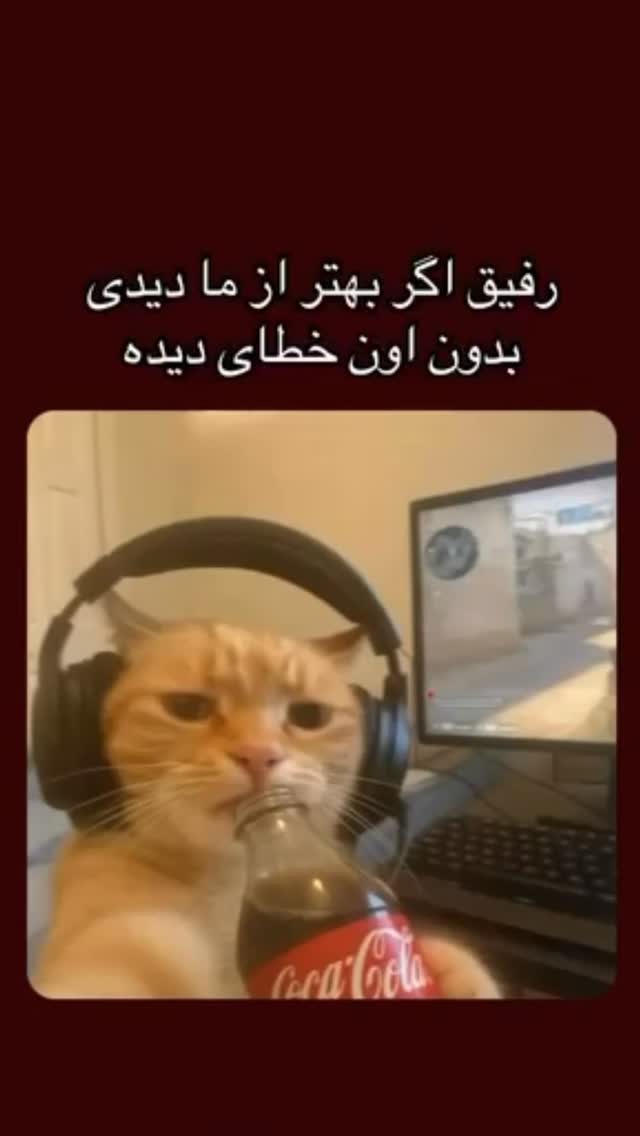  جدید ترین استوری اینستاگرام وحید معصومی