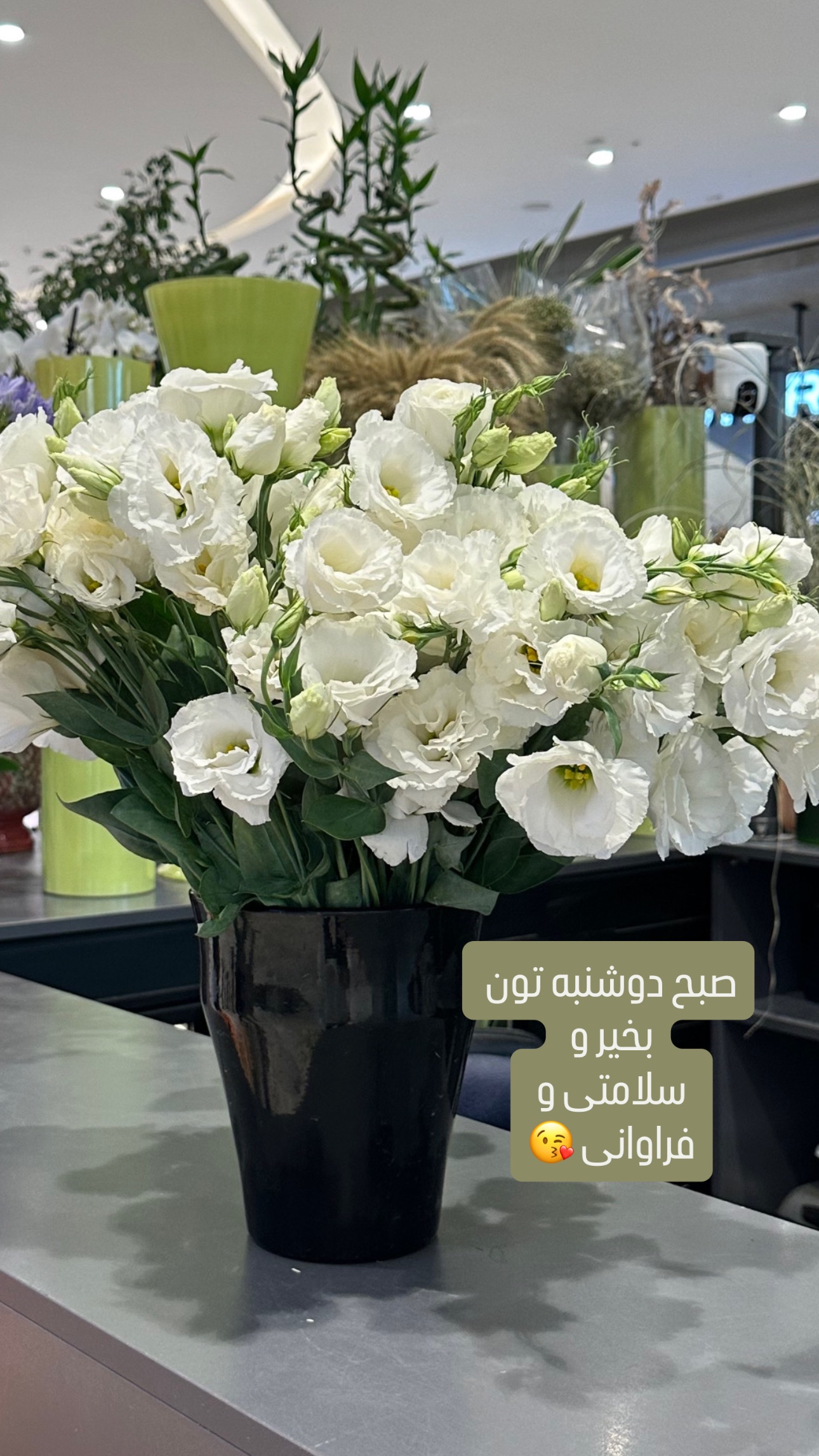  جدید ترین استوری اینستاگرام وحیده علی حسینی