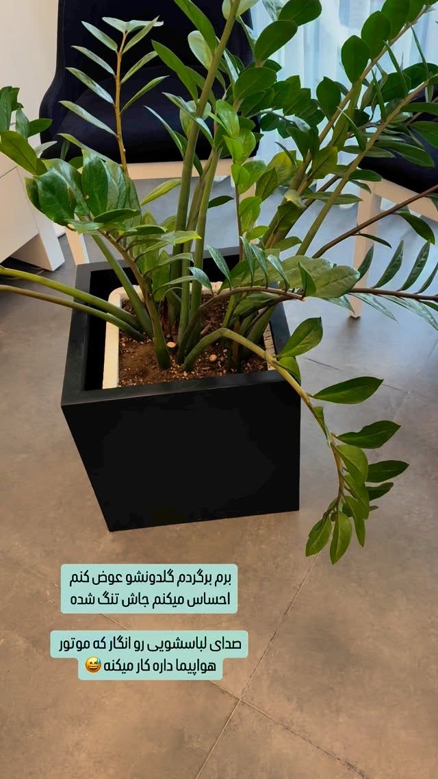  جدید ترین استوری اینستاگرام وحیده علی حسینی