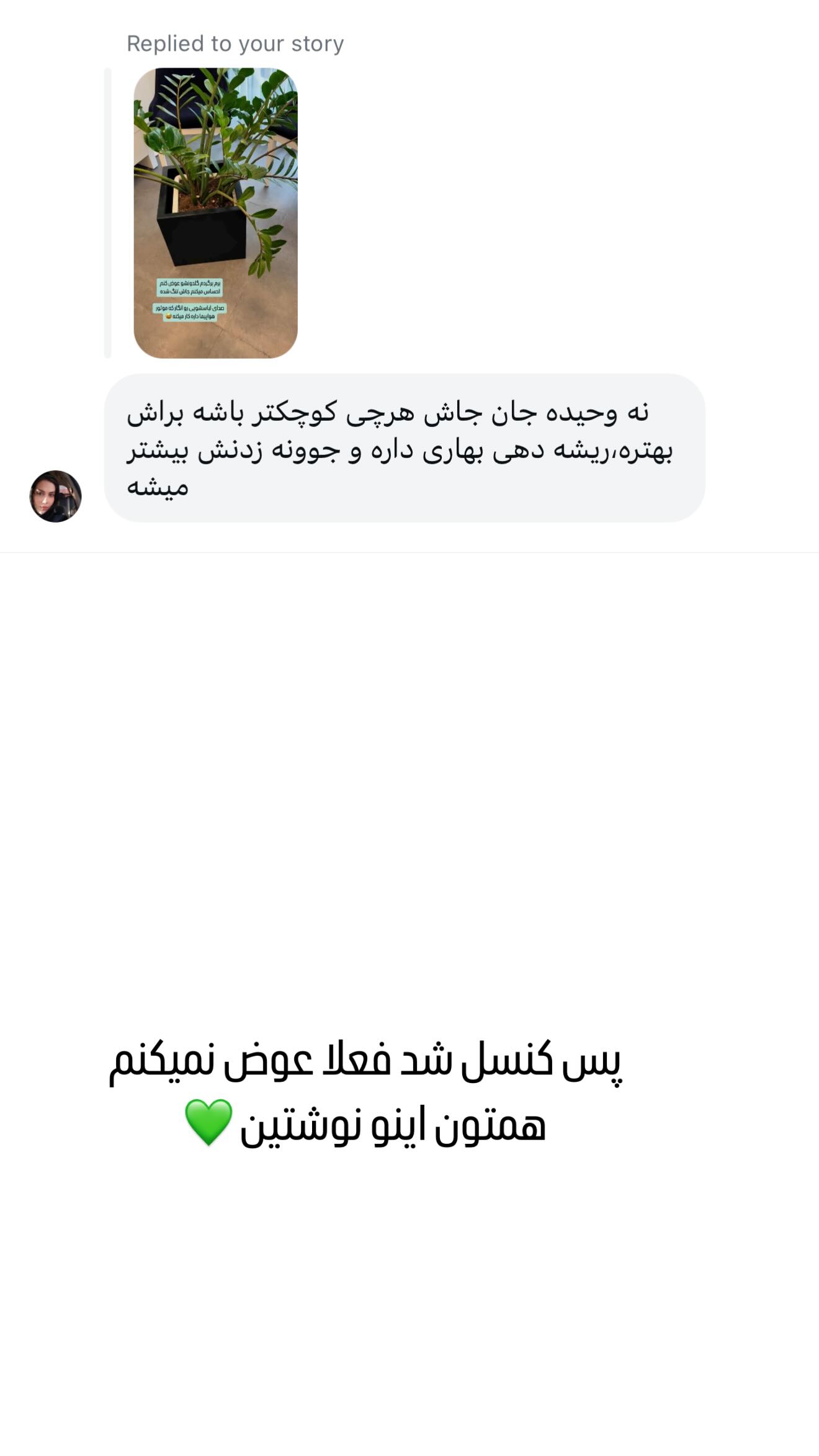  جدید ترین استوری اینستاگرام وحیده علی حسینی