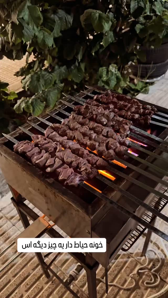  جدید ترین استوری اینستاگرام وحیده علی حسینی
