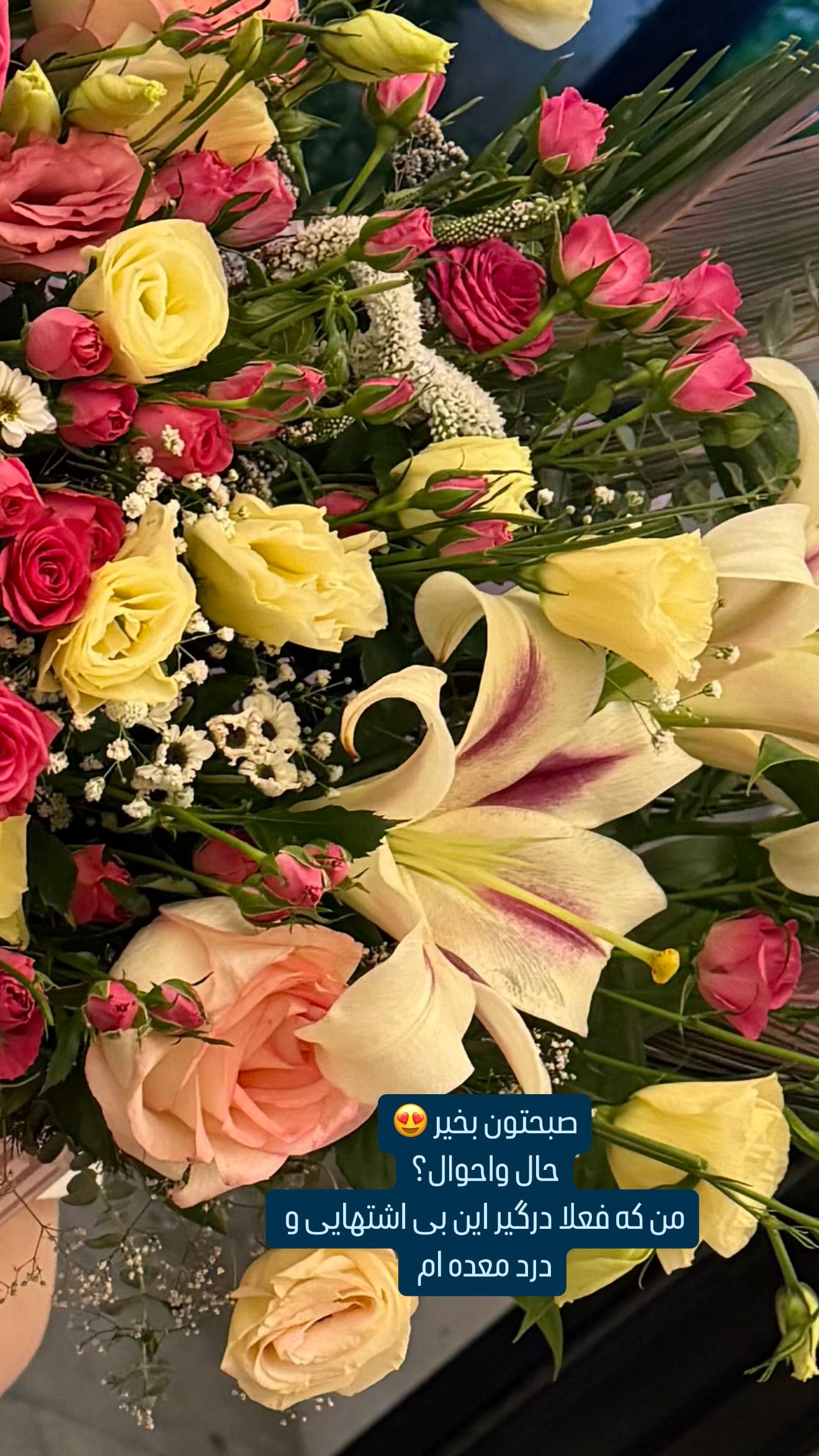  جدید ترین استوری اینستاگرام وحیده علی حسینی