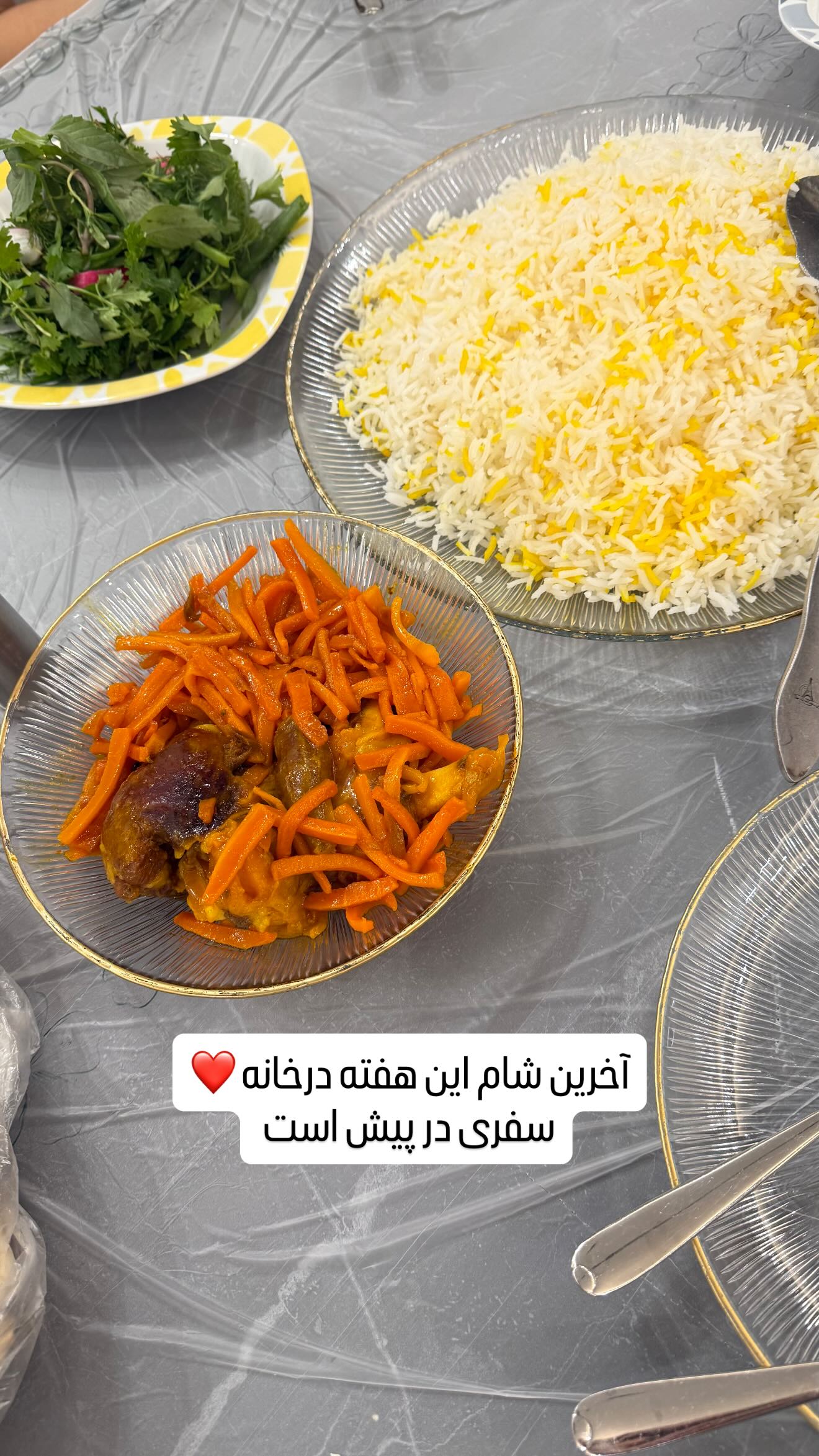  جدید ترین استوری اینستاگرام وحیده علی حسینی