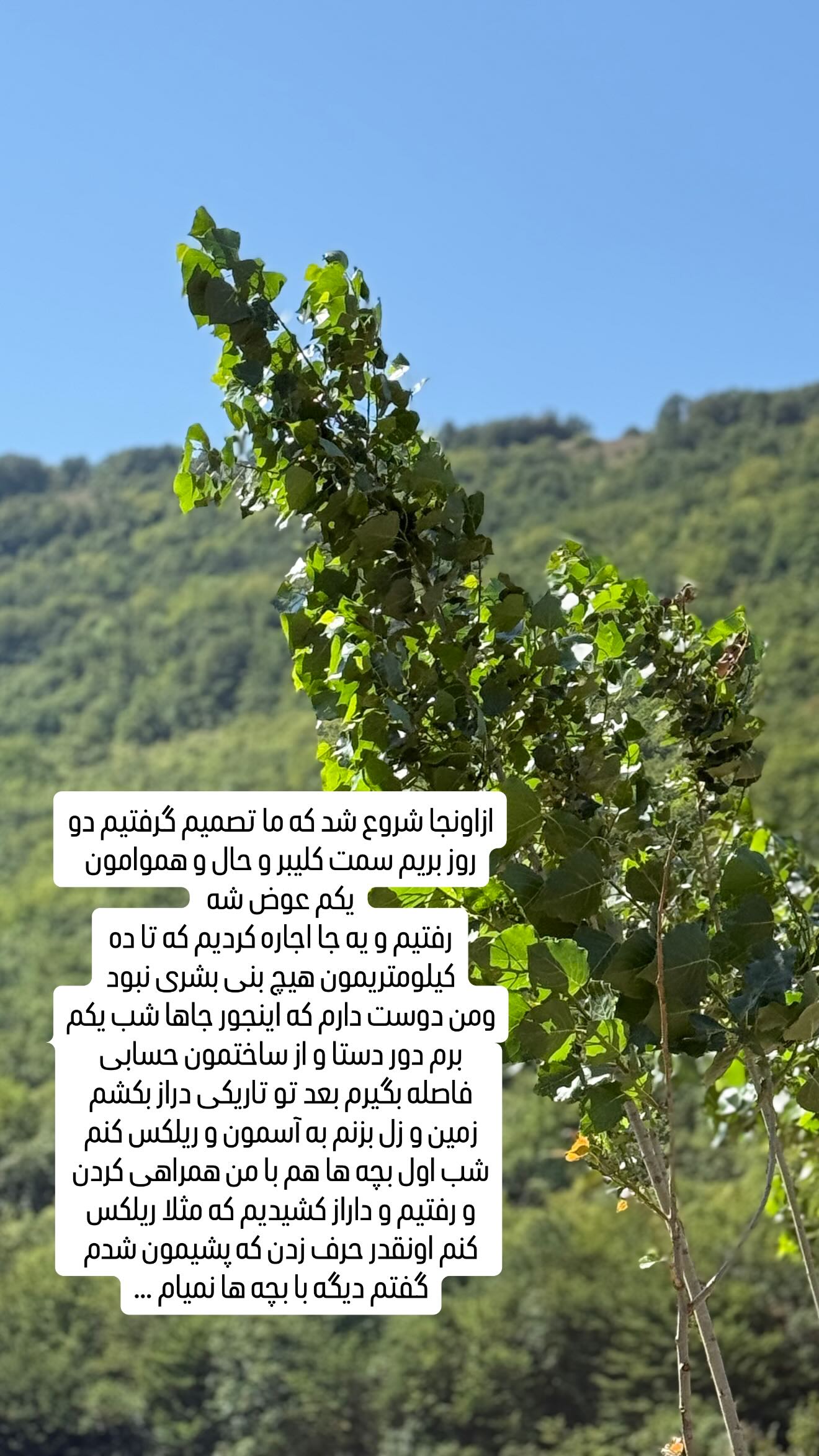  جدید ترین استوری اینستاگرام وحیده علی حسینی