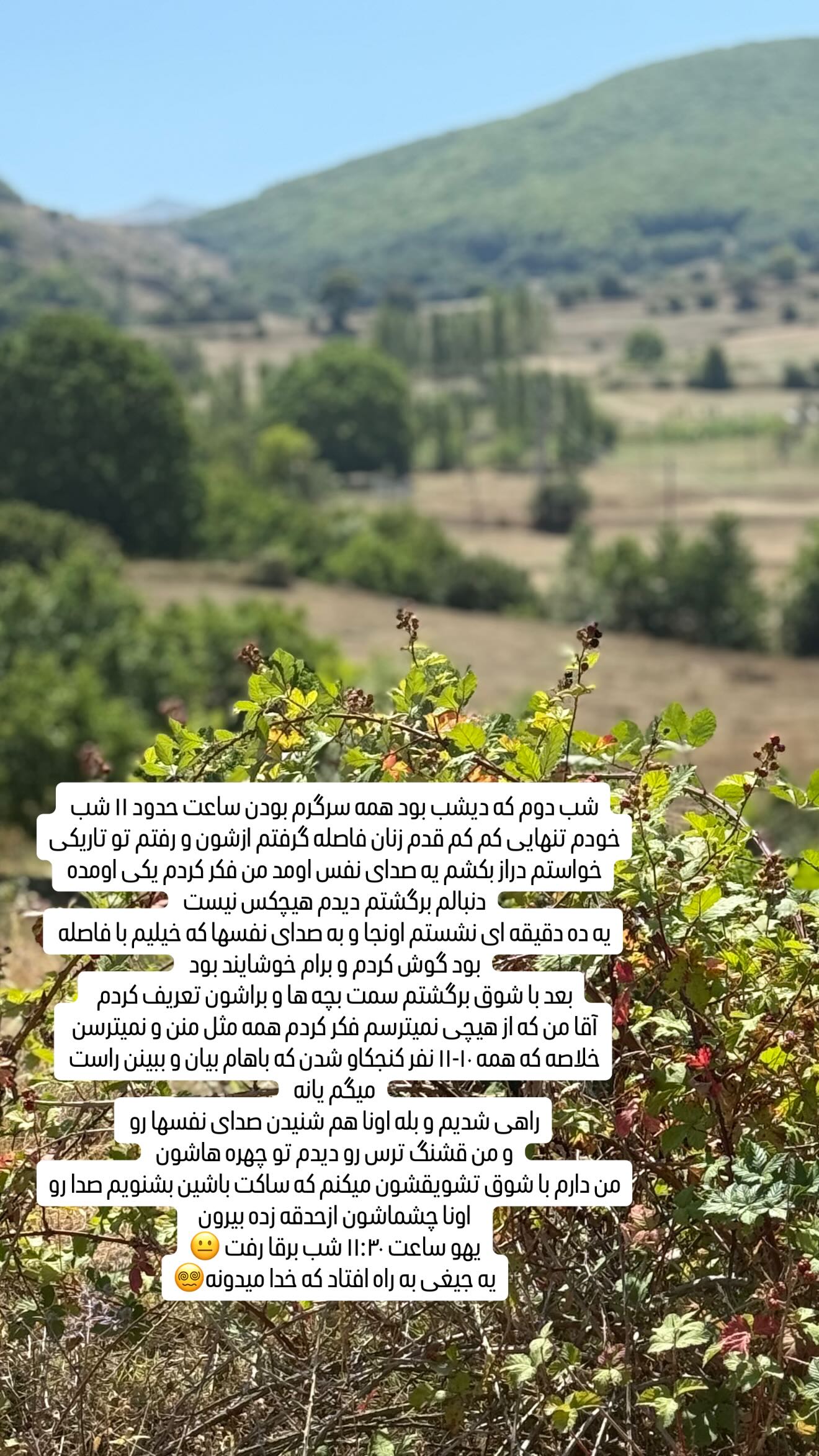  جدید ترین استوری اینستاگرام وحیده علی حسینی