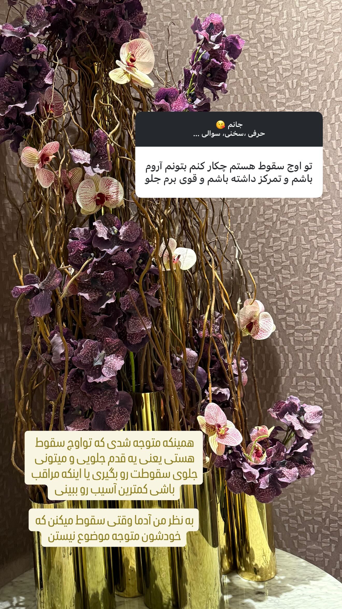  جدید ترین استوری اینستاگرام وحیده علی حسینی