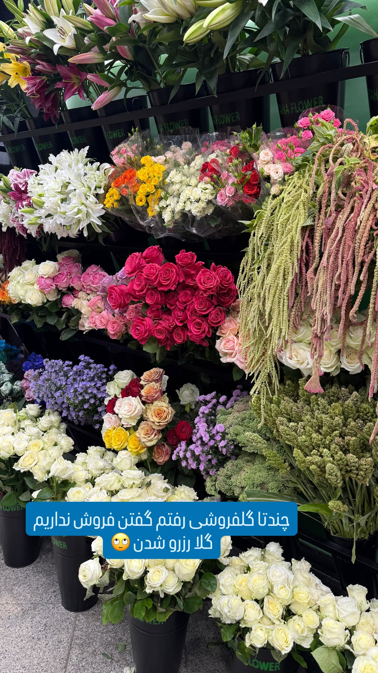  جدید ترین استوری اینستاگرام وحیده علی حسینی