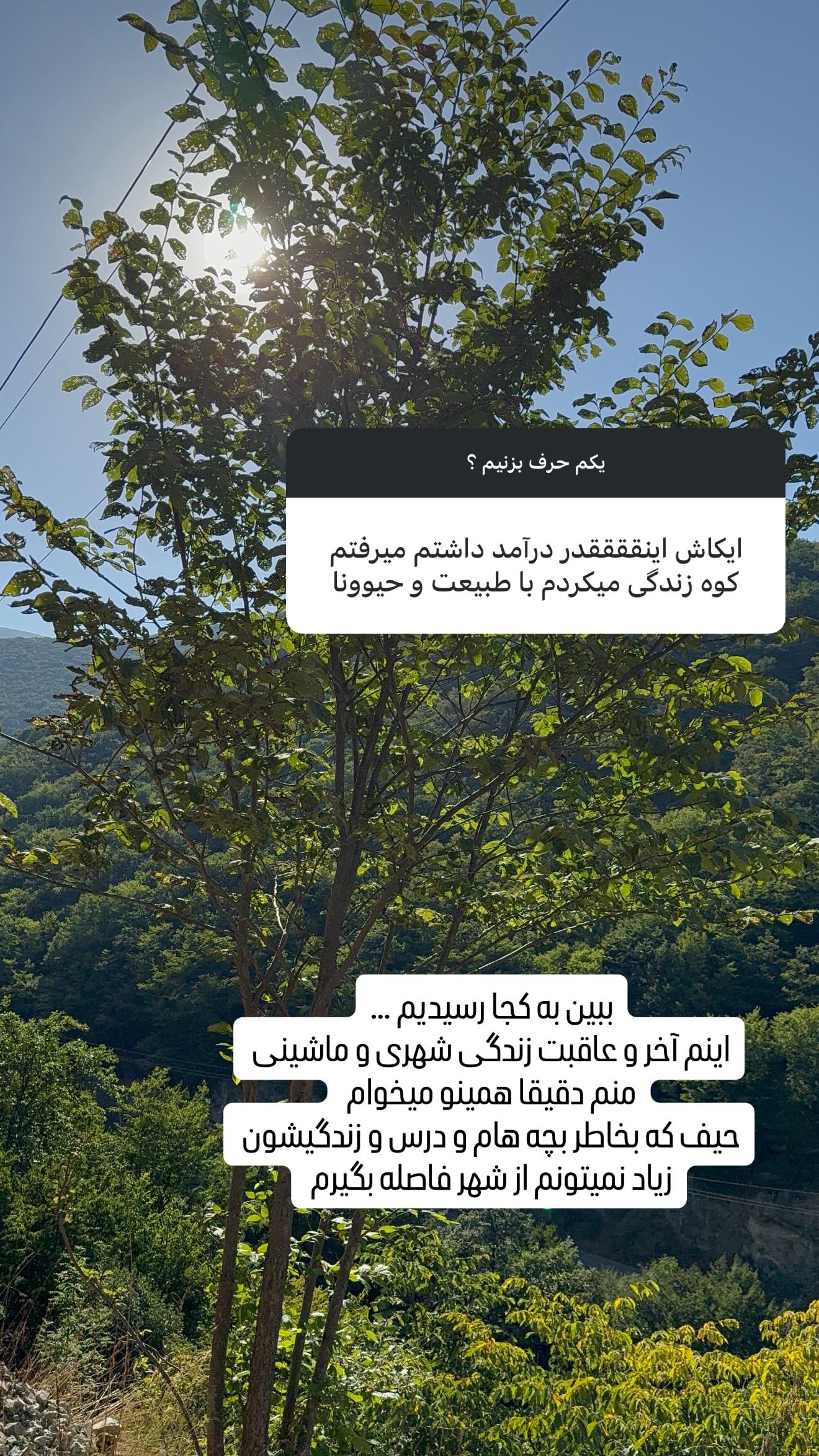  جدید ترین استوری اینستاگرام وحیده علی حسینی