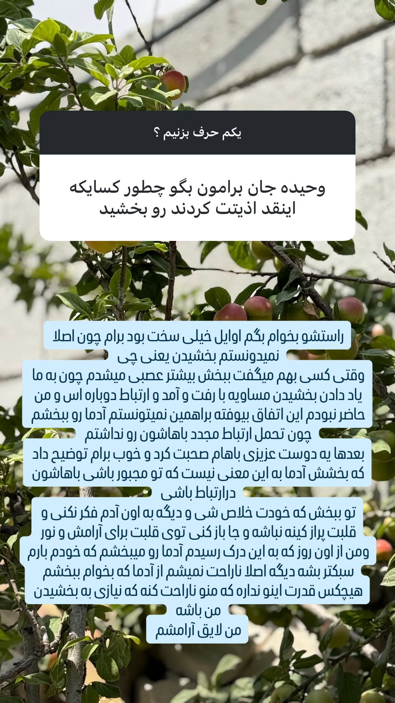  جدید ترین استوری اینستاگرام وحیده علی حسینی