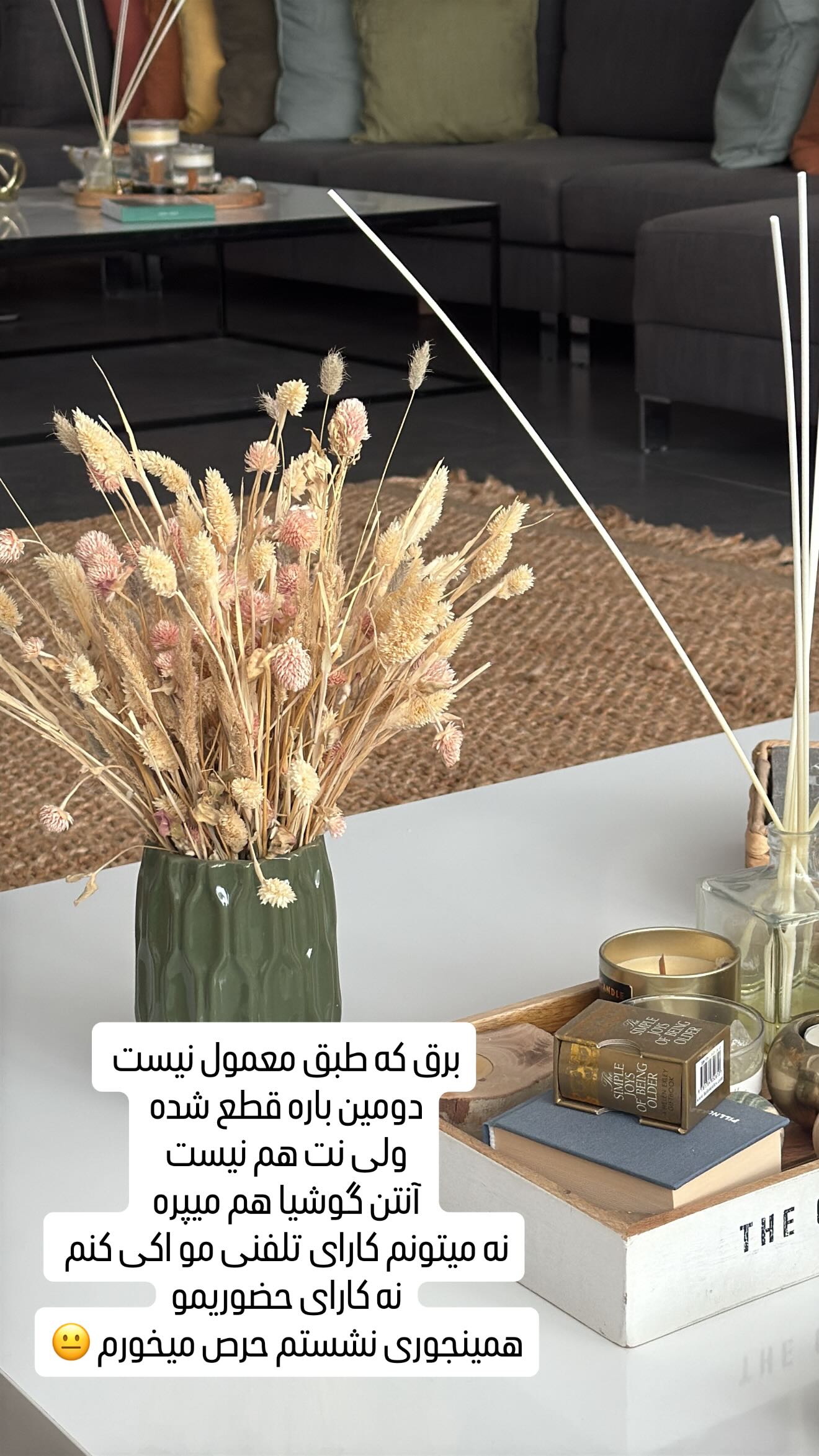  جدید ترین استوری اینستاگرام وحیده علی حسینی