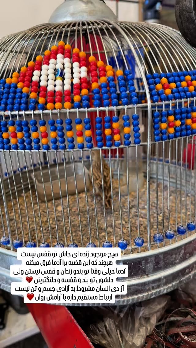  جدید ترین استوری اینستاگرام وحیده علی حسینی