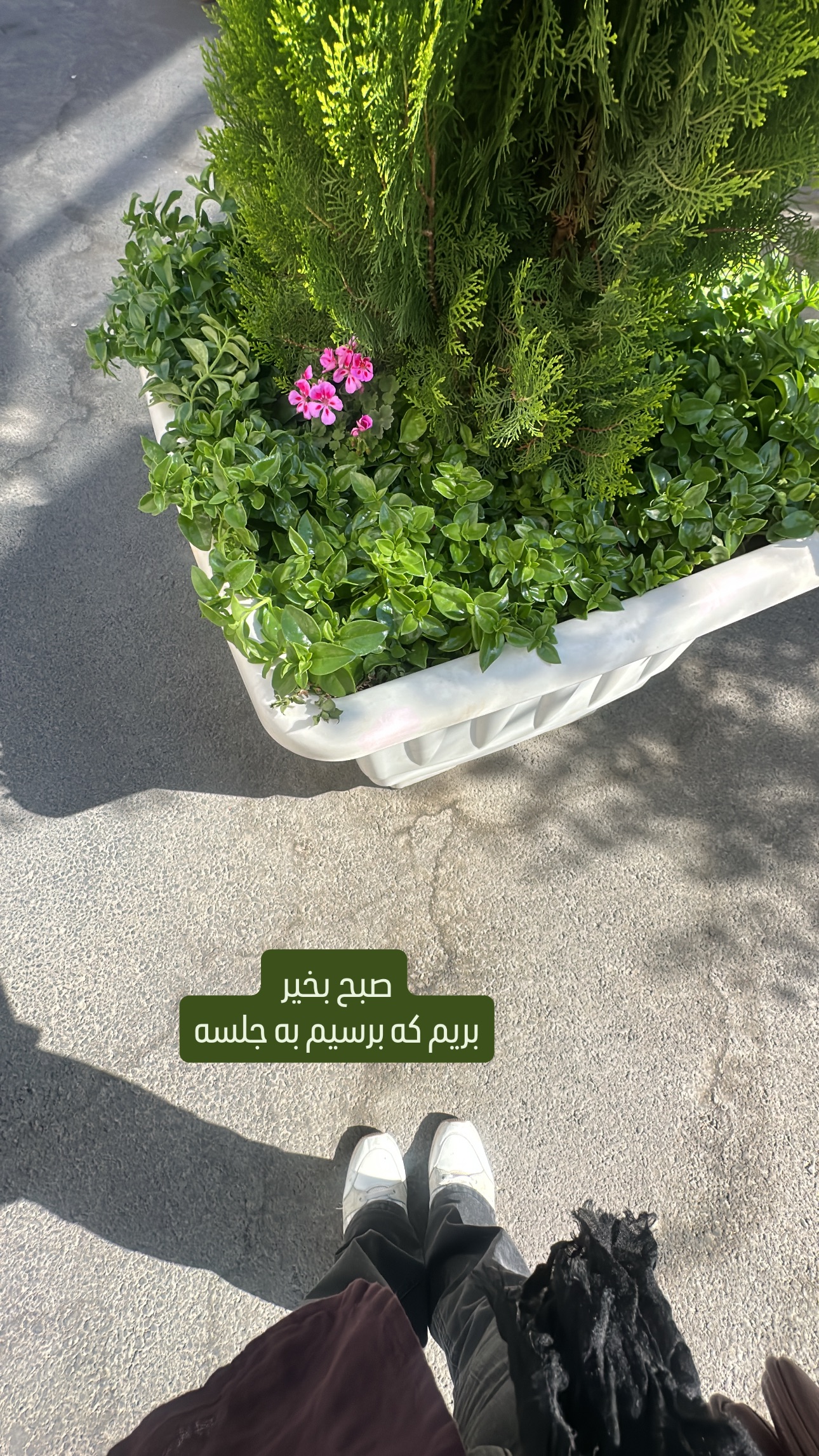  جدید ترین استوری اینستاگرام وحیده علی حسینی