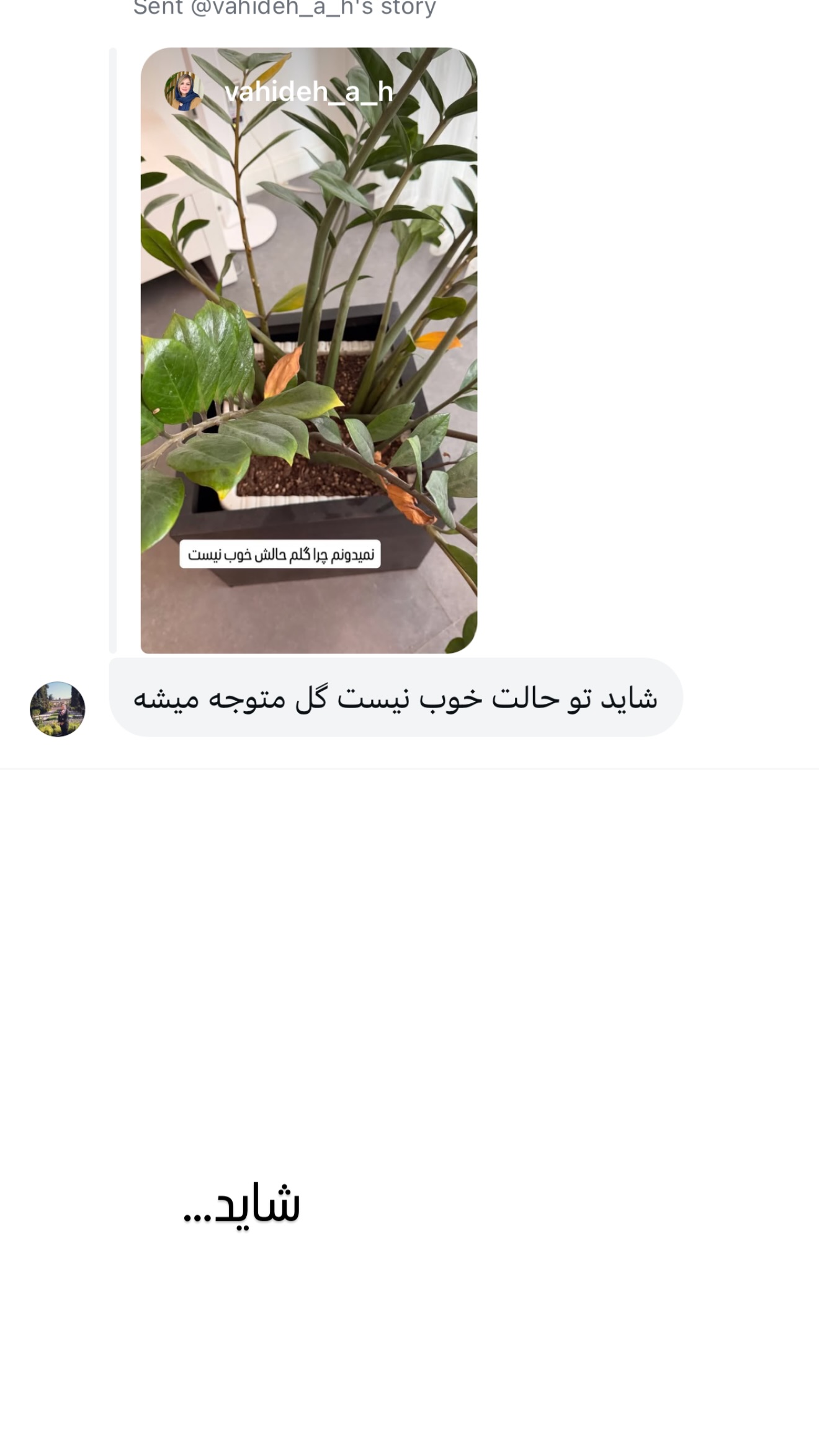  جدید ترین استوری اینستاگرام وحیده علی حسینی
