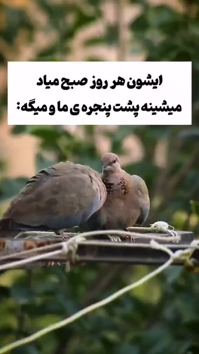  جدید ترین استوری اینستاگرام وحید خراطها