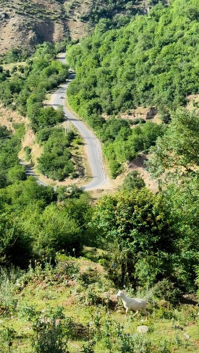  جدید ترین استوری اینستاگرام وحید مرادی
