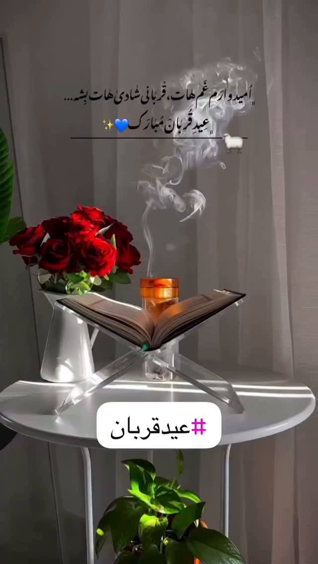  جدید ترین استوری اینستاگرام وحید مرادی