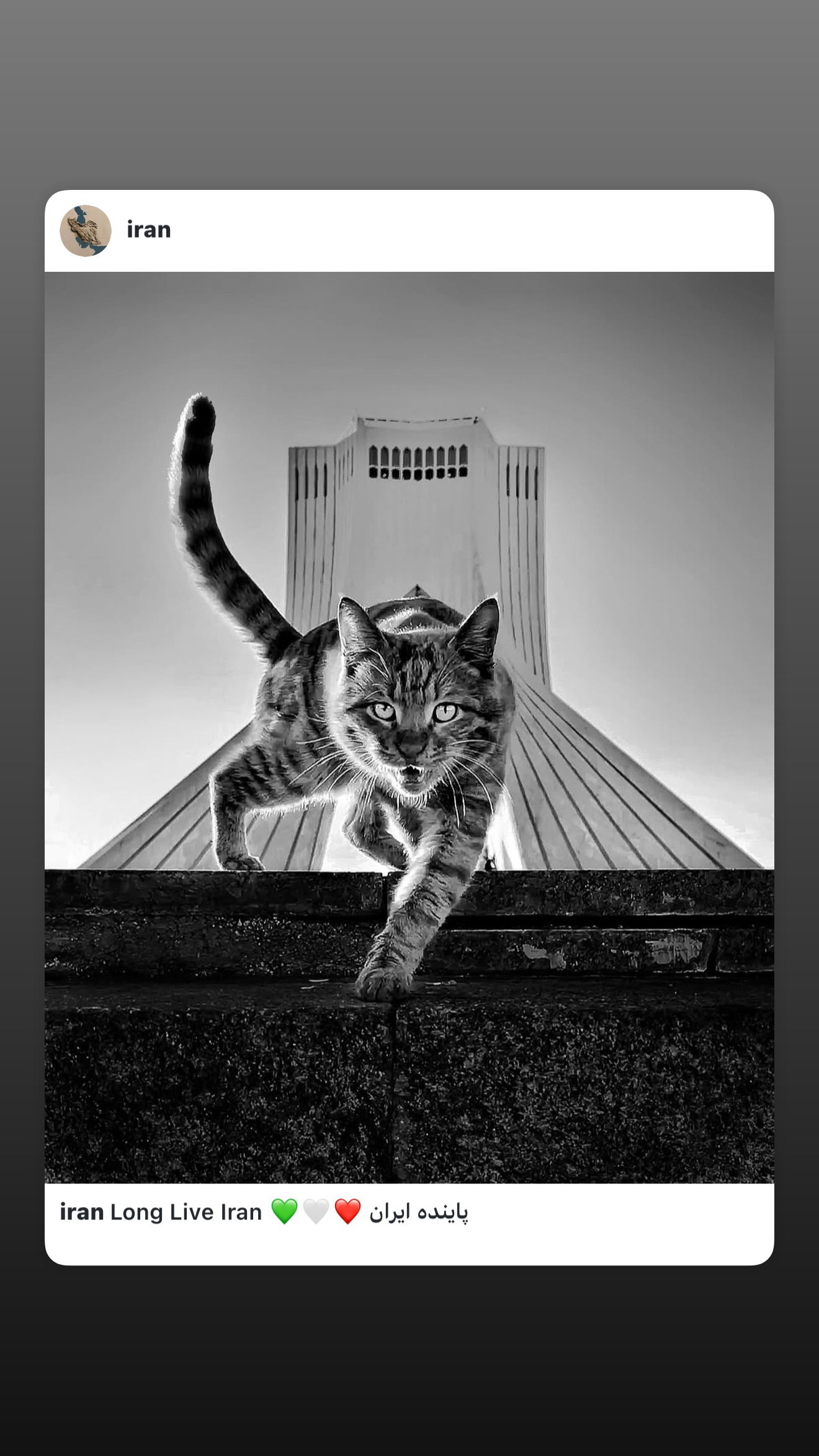  جدید ترین استوری اینستاگرام وحید مرادی
