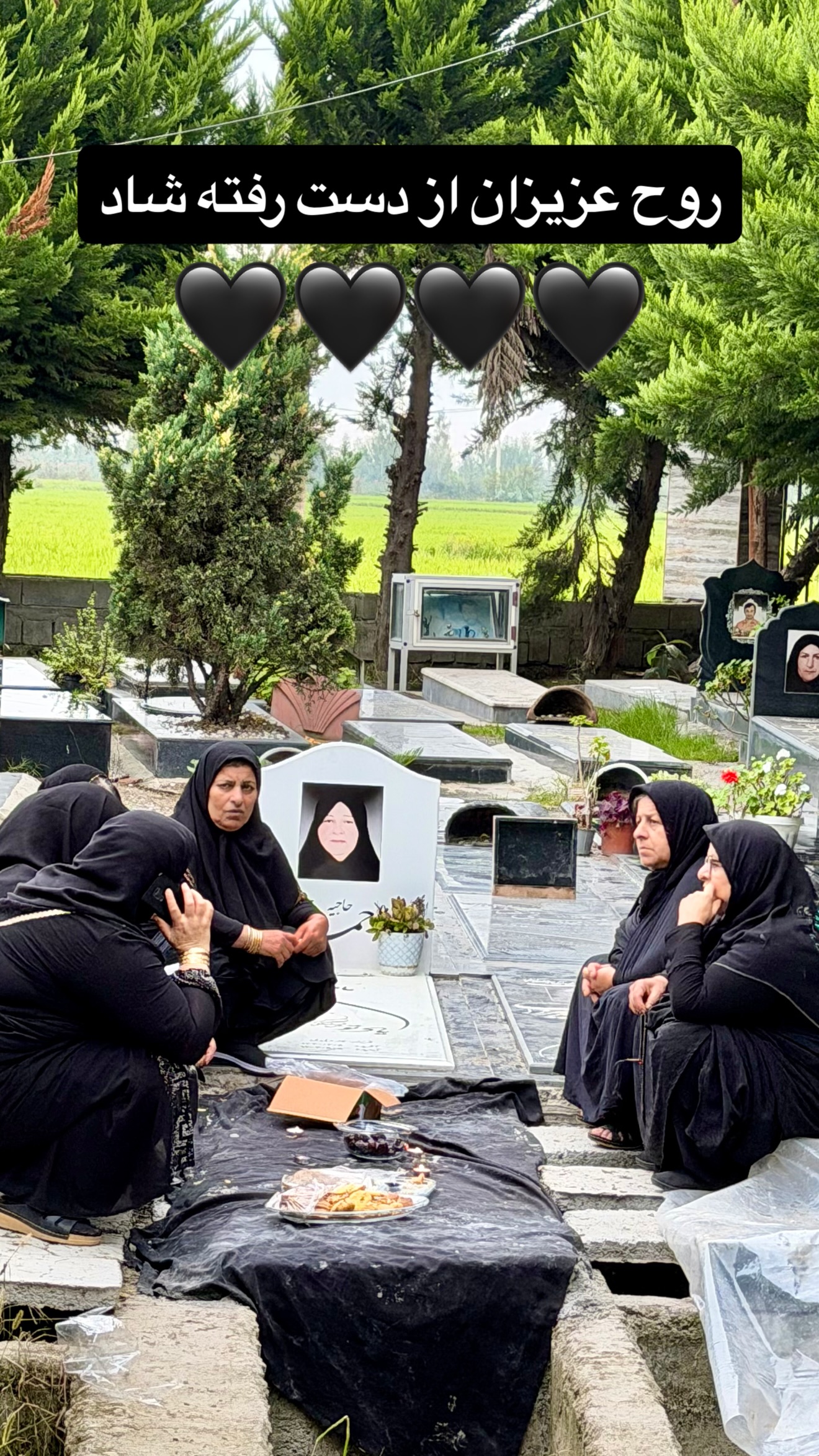  جدید ترین استوری اینستاگرام وحید مرادی