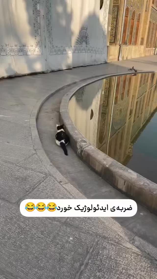  جدید ترین استوری اینستاگرام وحید رحیمیان