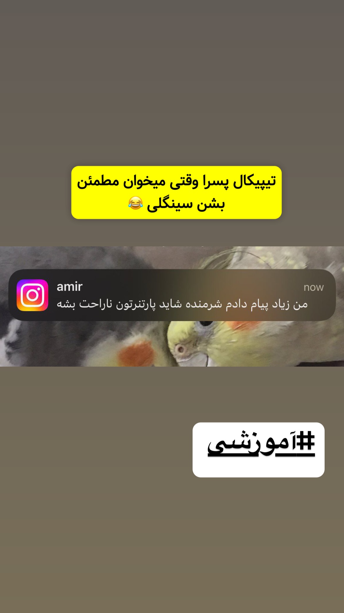  جدید ترین استوری اینستاگرام وحیدرضا صادق پور