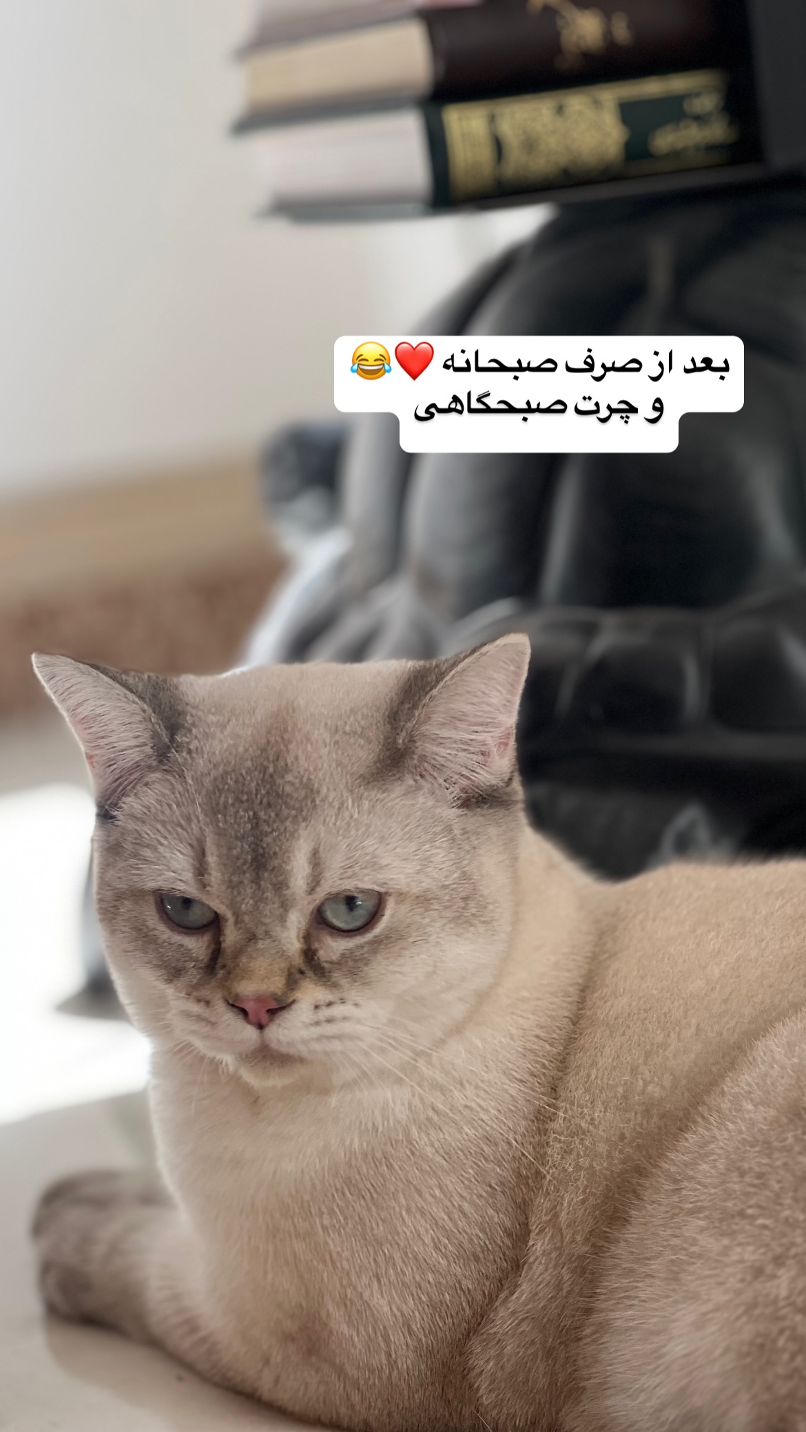  جدید ترین استوری اینستاگرام وحیدرضا صادق پور
