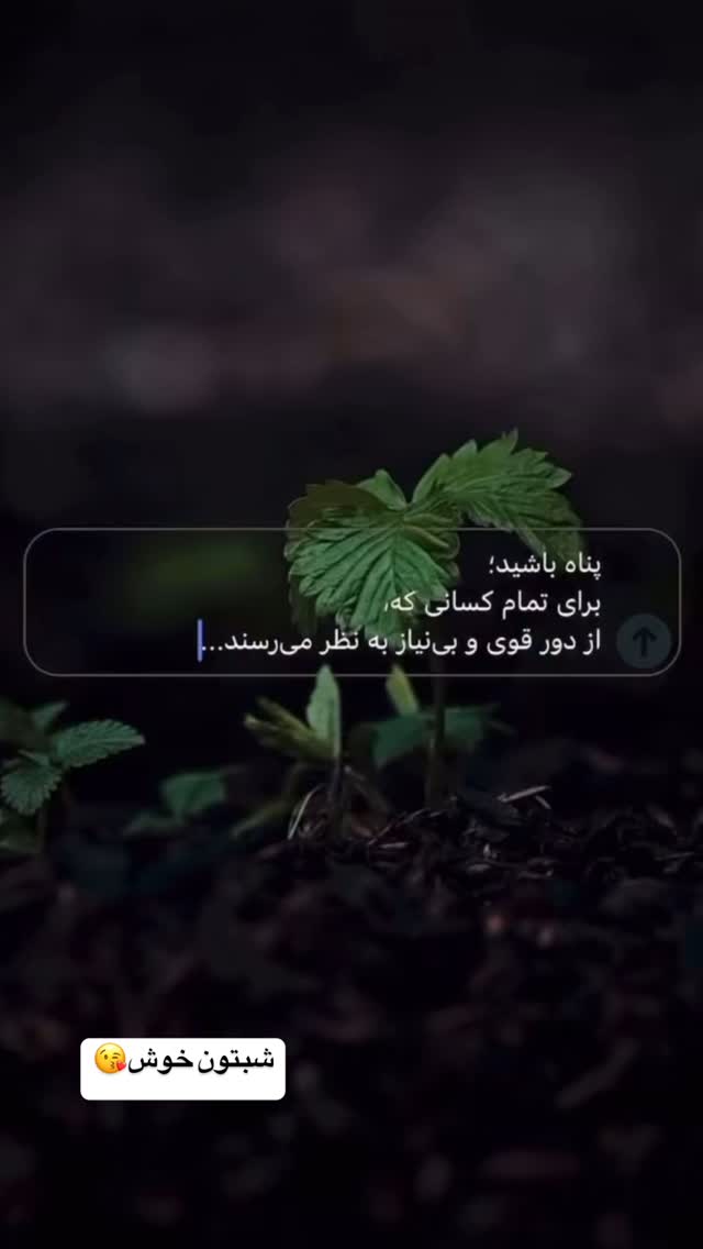  جدید ترین استوری اینستاگرام وحیدرضا صادق پور