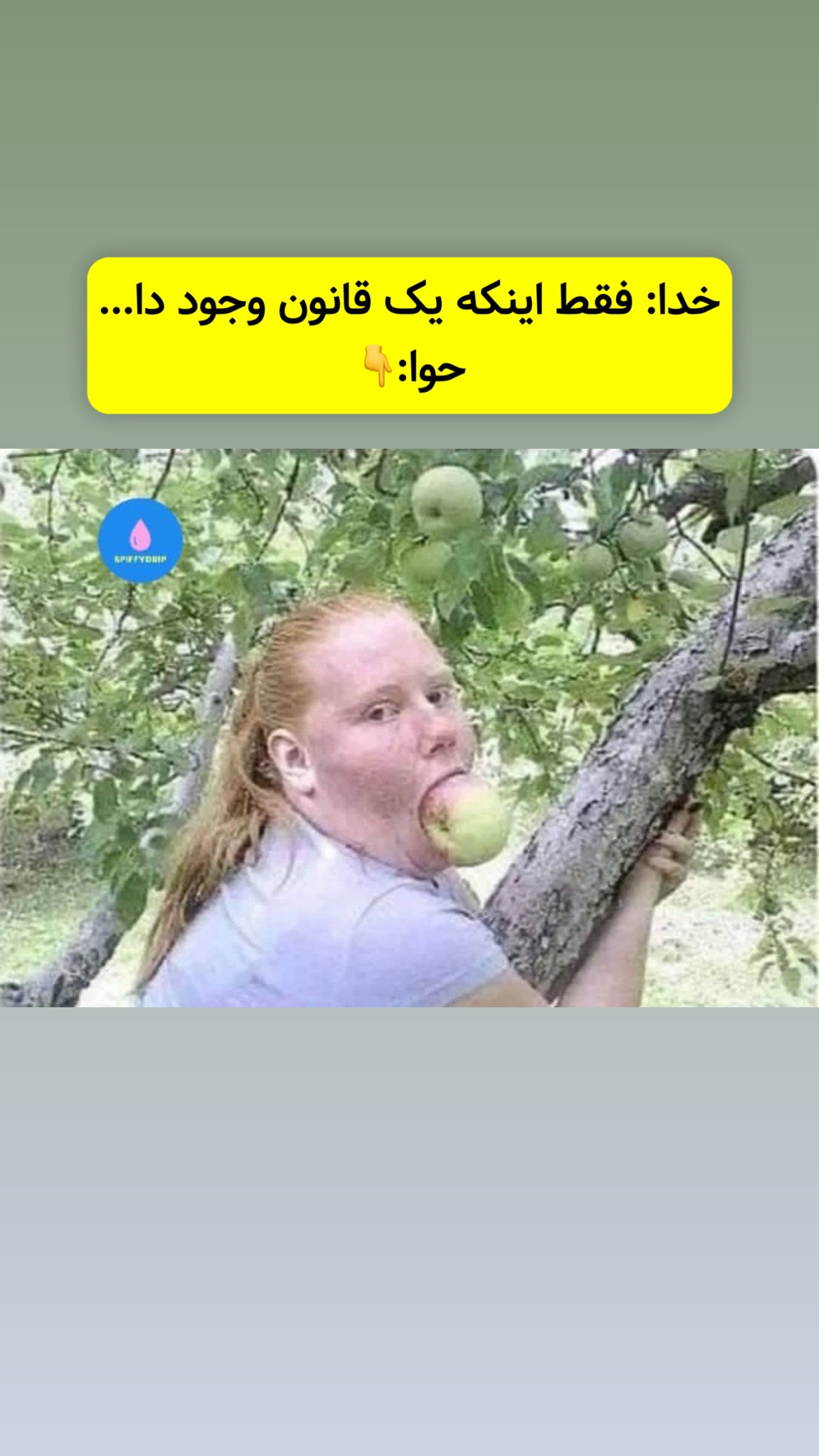  جدید ترین استوری اینستاگرام وحیدرضا صادق پور