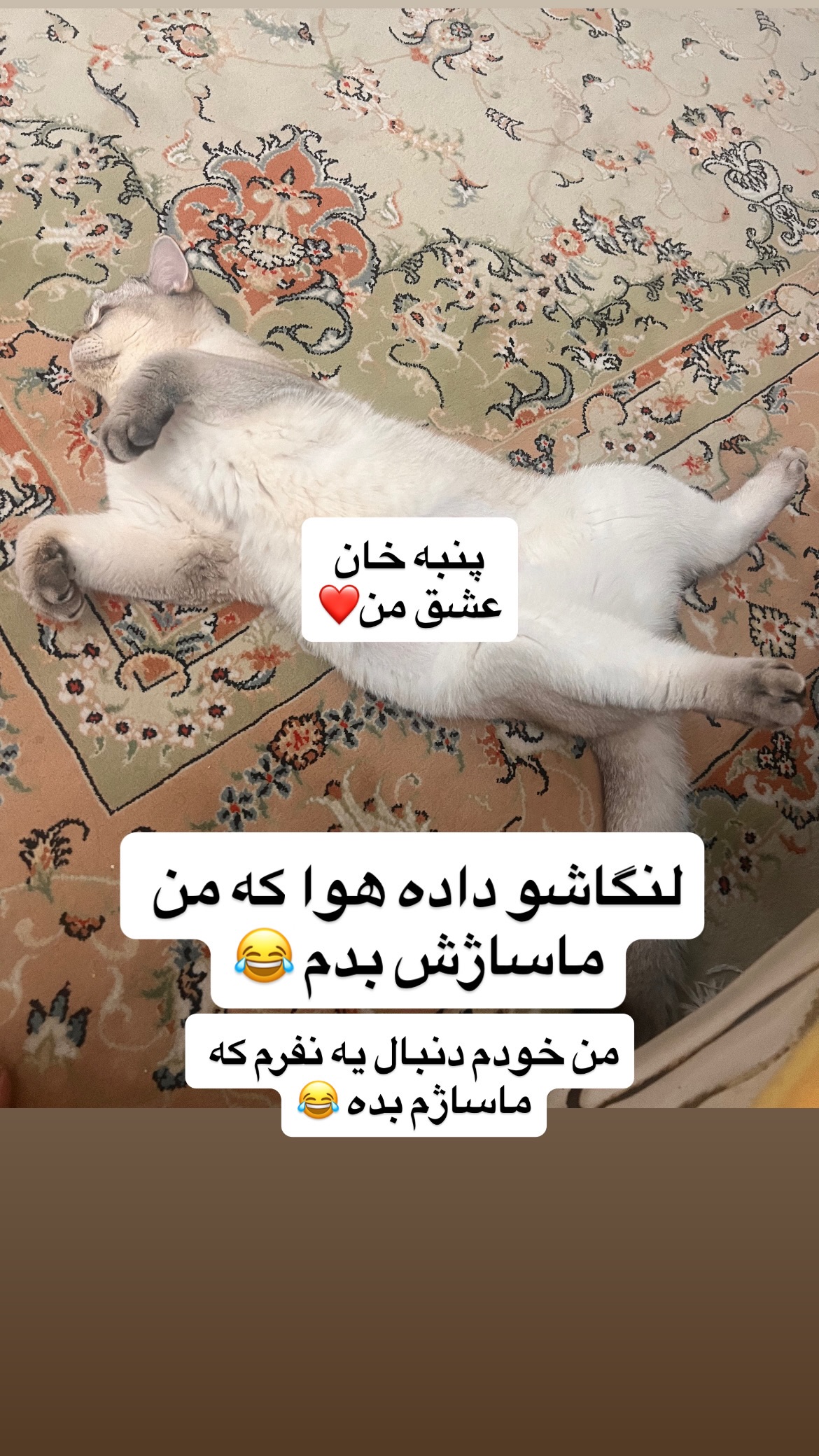  جدید ترین استوری اینستاگرام وحیدرضا صادق پور