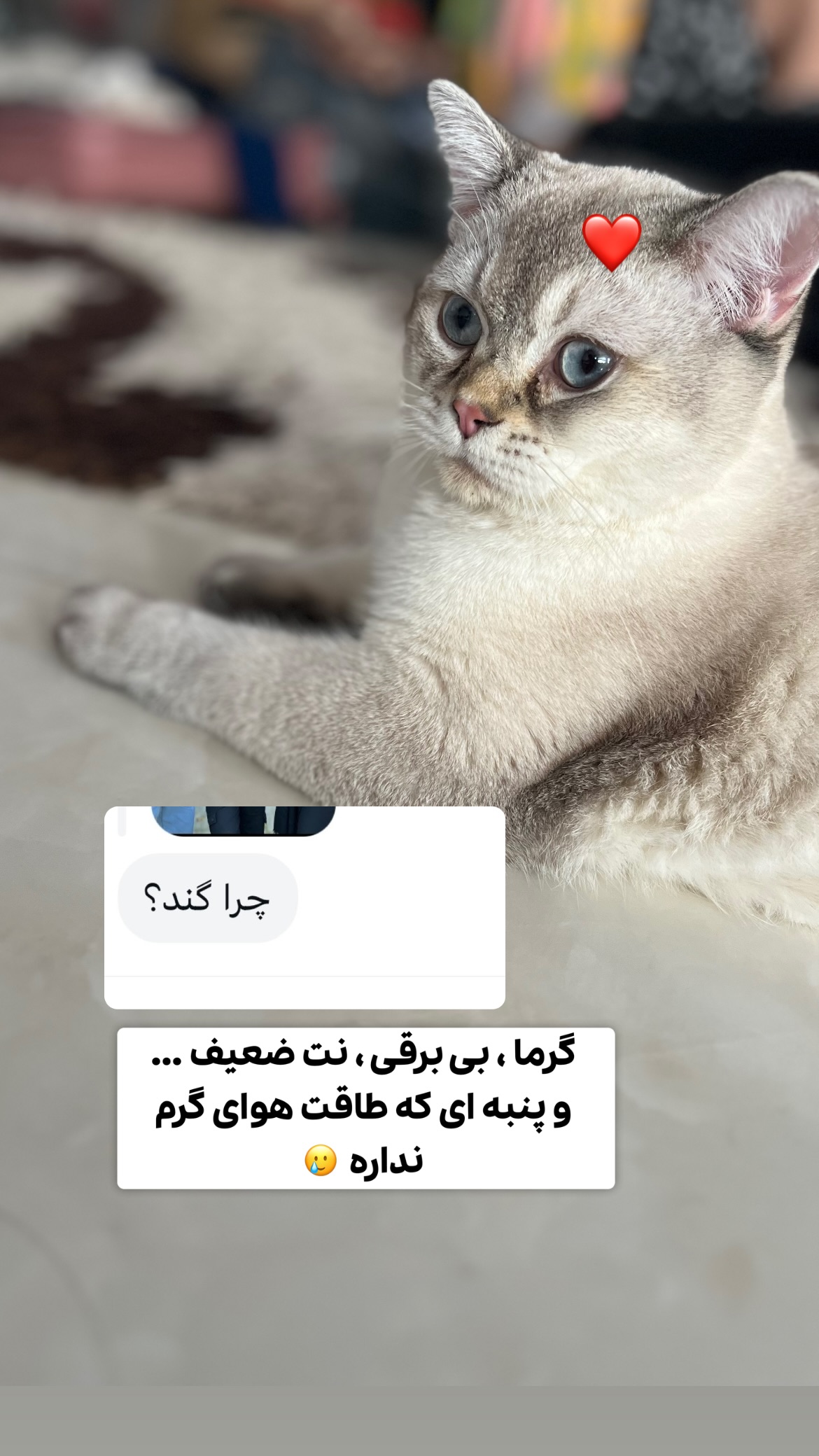  جدید ترین استوری اینستاگرام وحیدرضا صادق پور