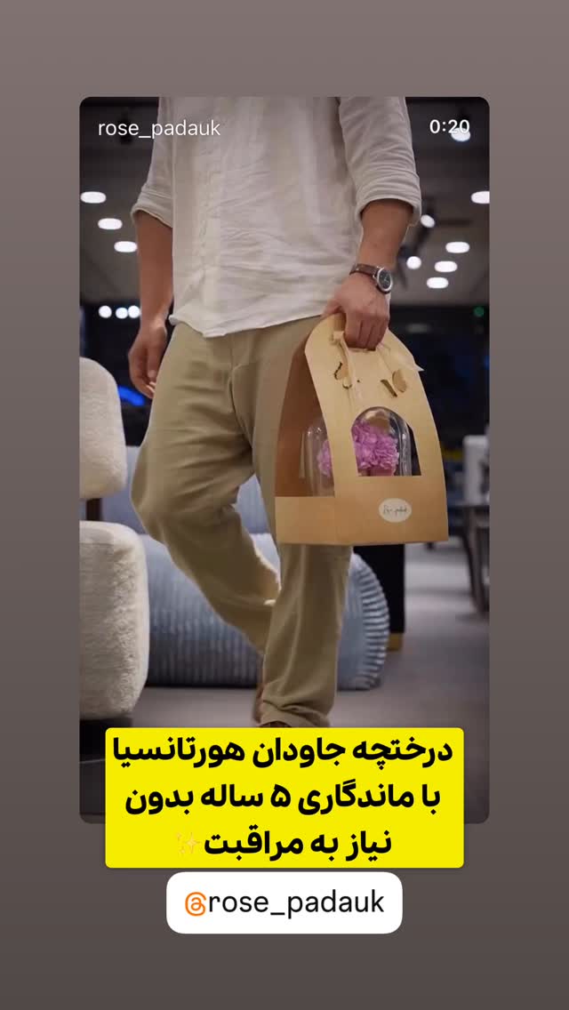  جدید ترین استوری اینستاگرام وحیدرضا صادق پور