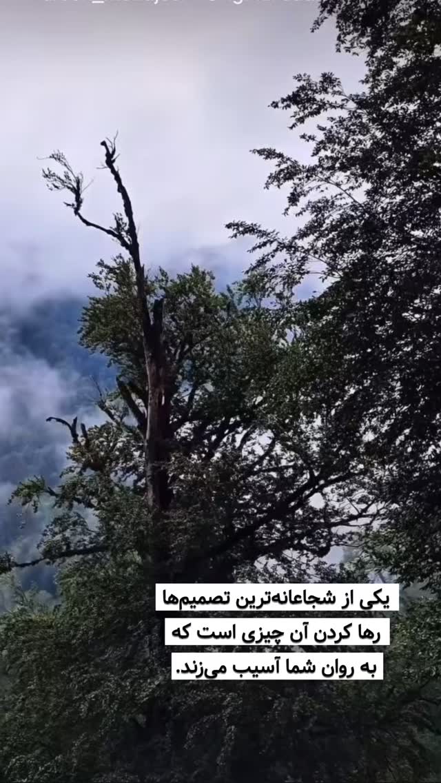  جدید ترین استوری اینستاگرام وحیدرضا صادق پور