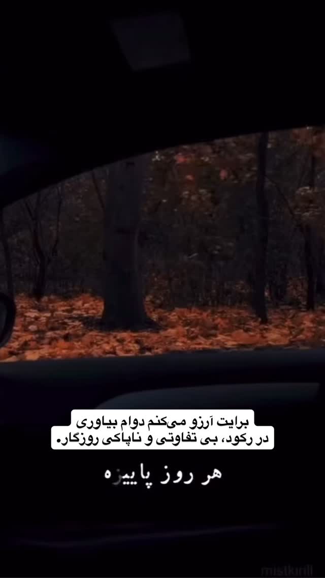  جدید ترین استوری اینستاگرام وحیدرضا صادق پور